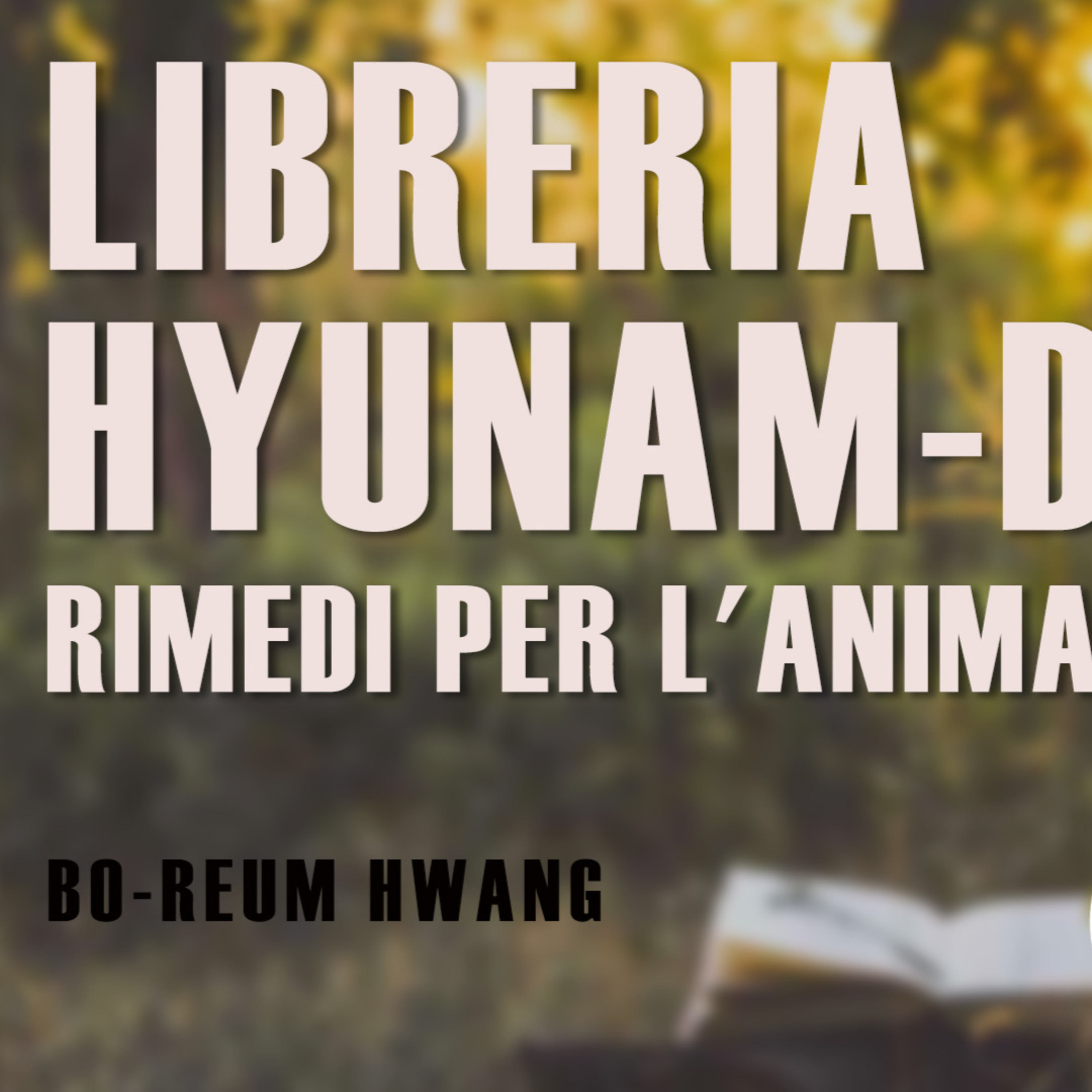 Libreria Hyunam-dong. Rimedi per l'anima (Hwang Bo-Reum)