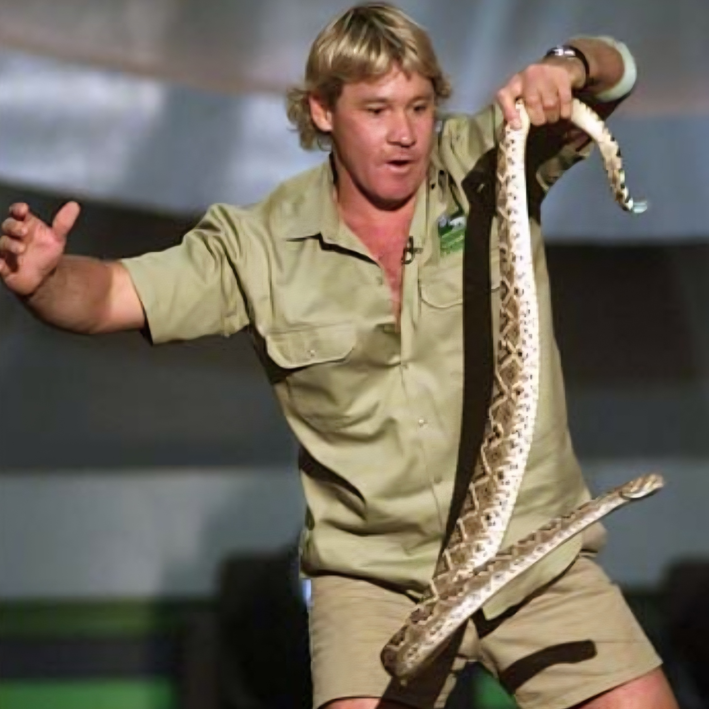 SoberNotMature - Episode 179 (Grabbing Snakes By The Tail) SoberNotMature - Episode 179 (Grabbing Snakes By The Tail)