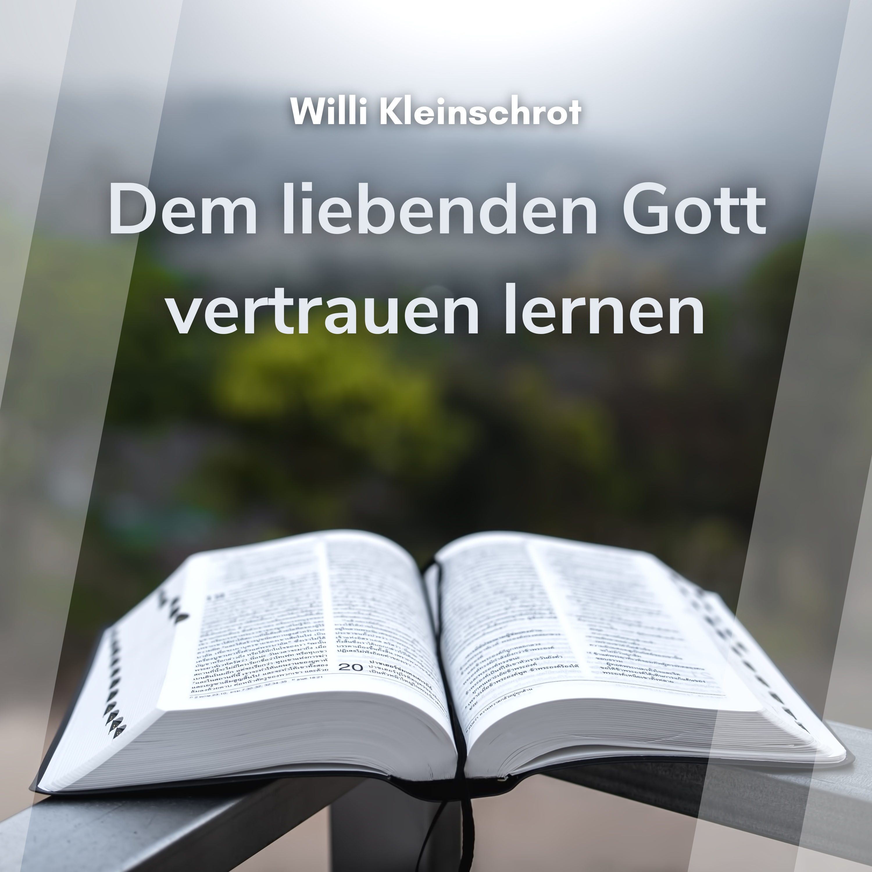 Dem liebenden Gott Vertrauen lernen (Willi Kleinschrodt)
