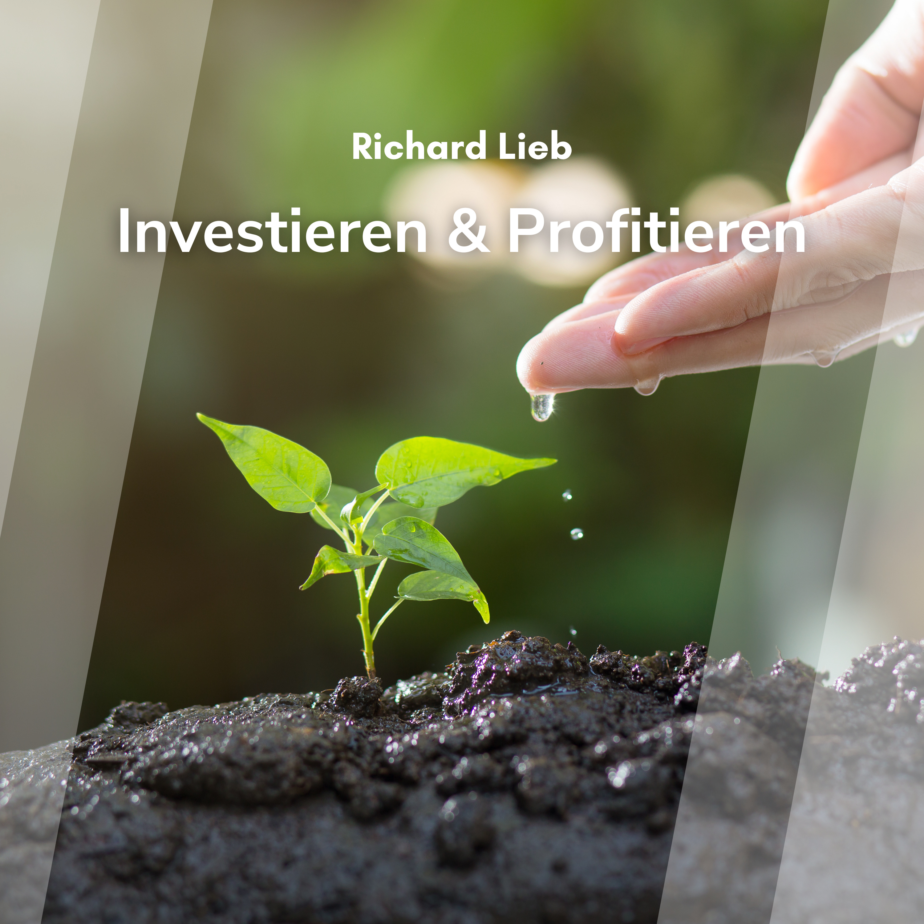 Investieren & Profitieren (Richard Lieb)