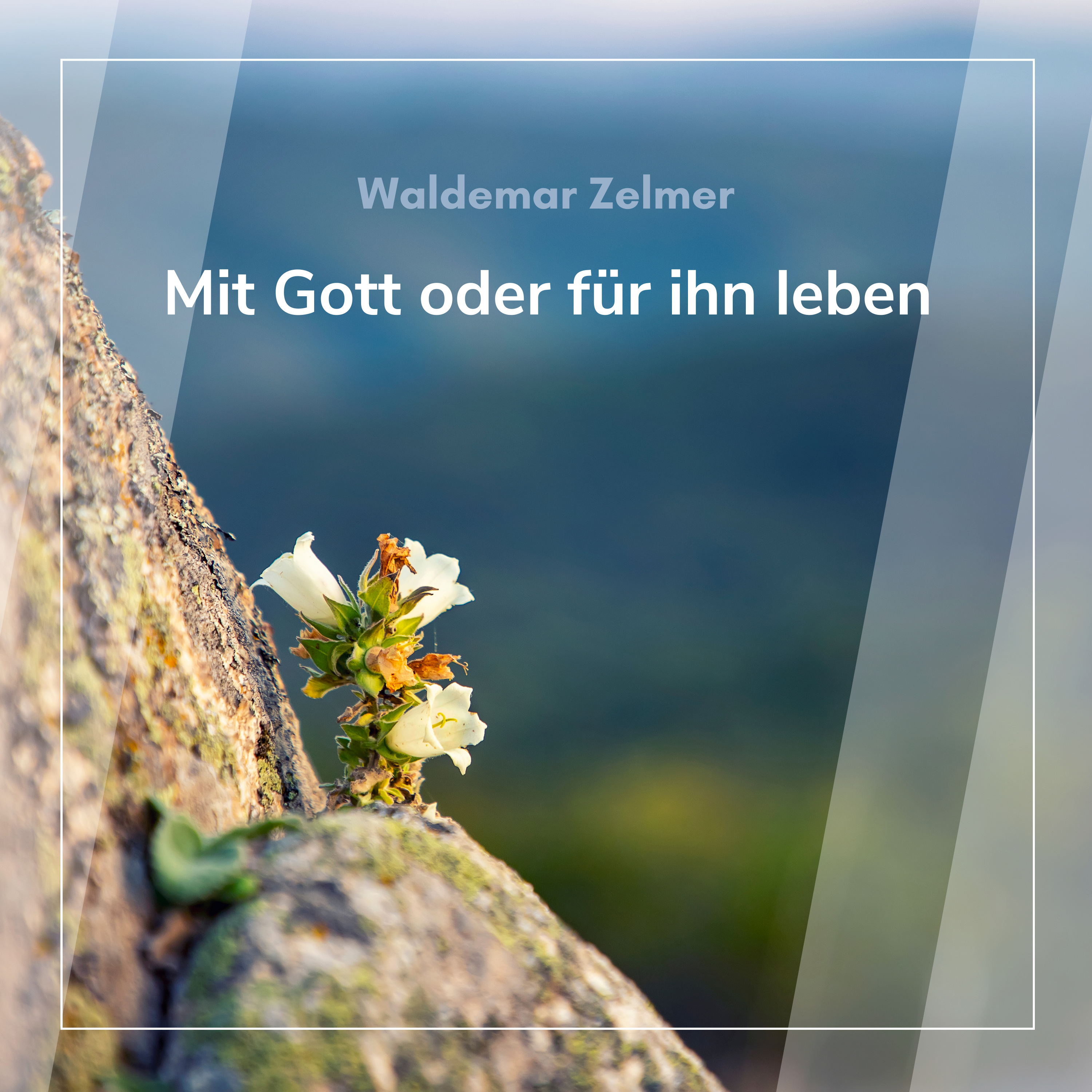 Mit Gott oder für ihn leben (Waldemar Zelmer)