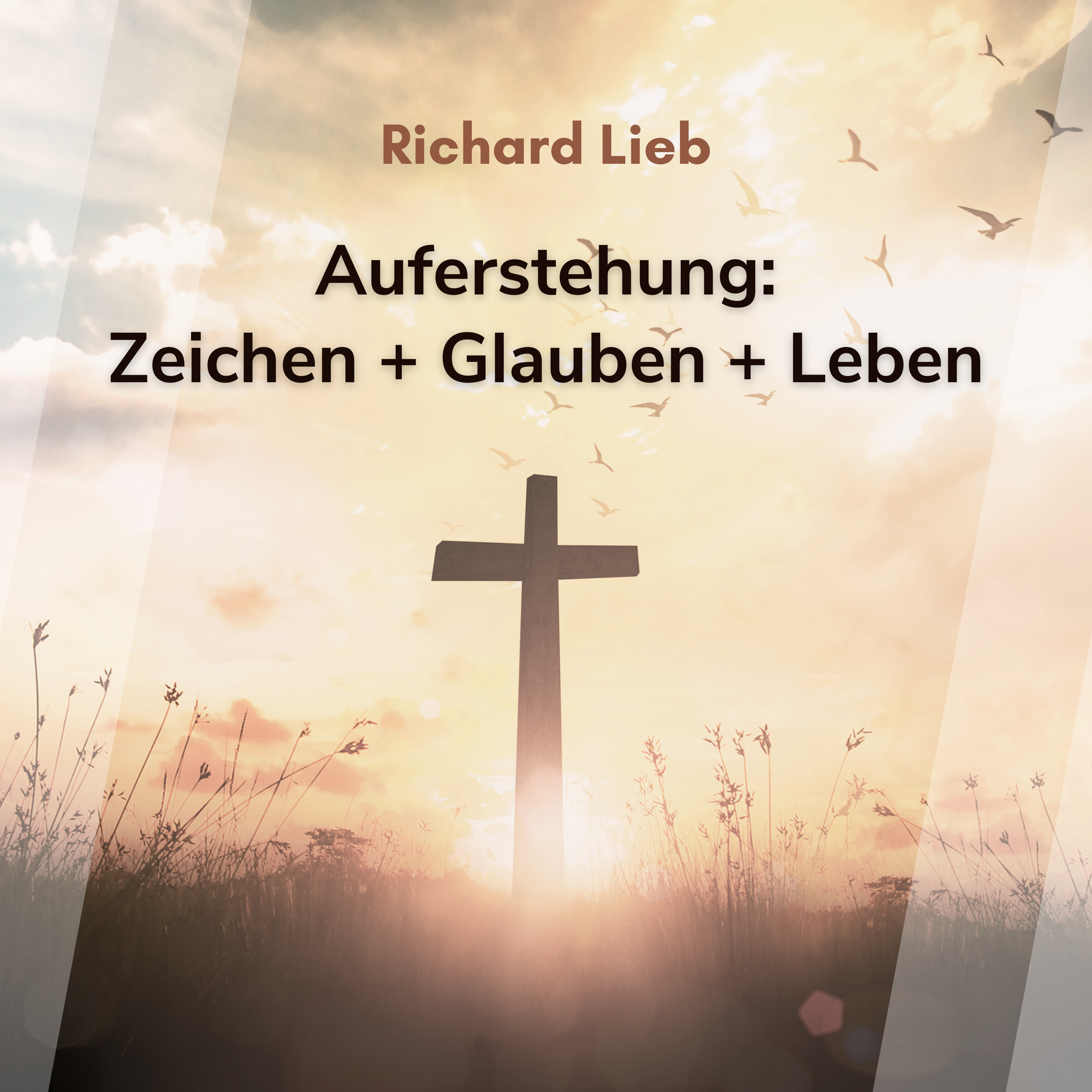 Auferstehung: Zeichen + Glauben + Leben (Richard Lieb) episode artwork