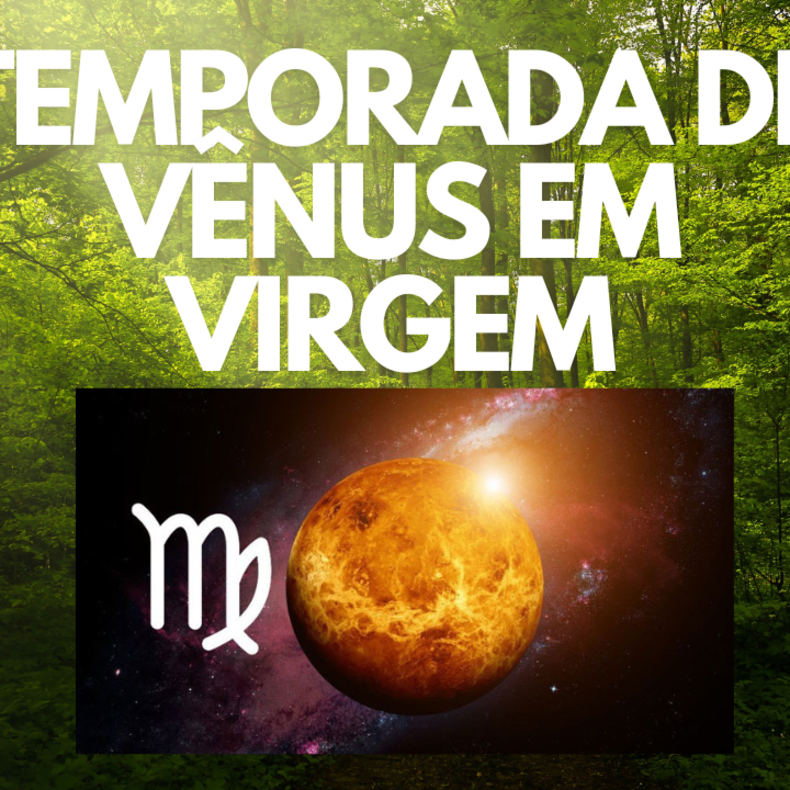 Temporada de Vênus em Virgem episode artwork