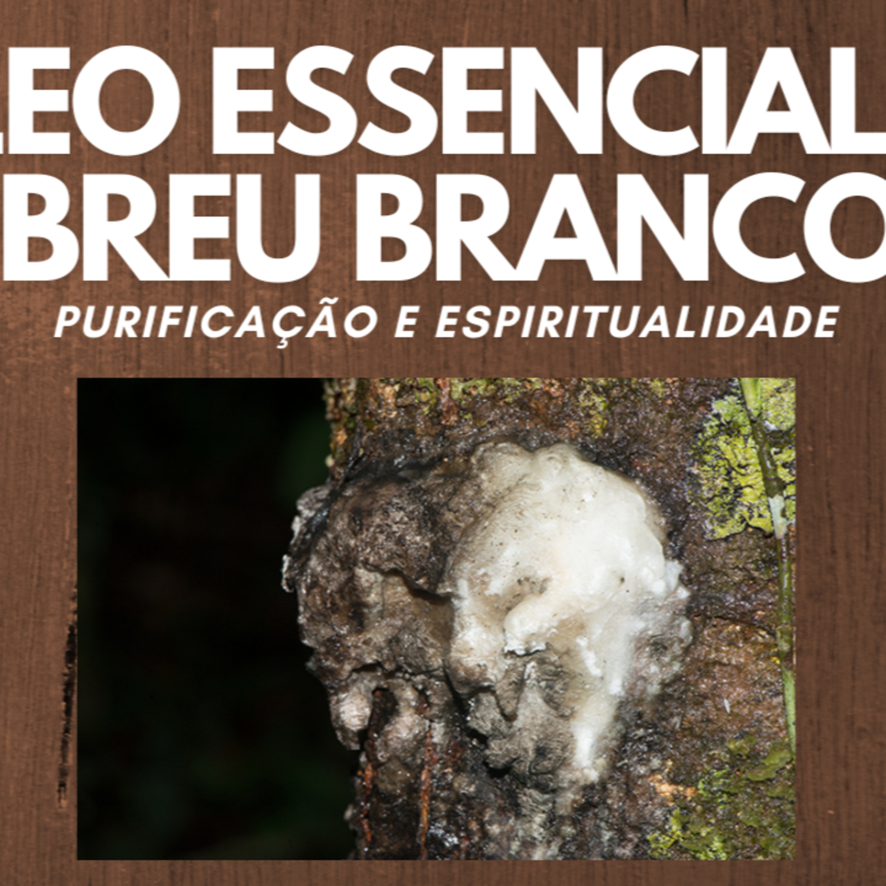 Óleo Essencial de Breu Branco - Purificação e Espiritualidade episode artwork