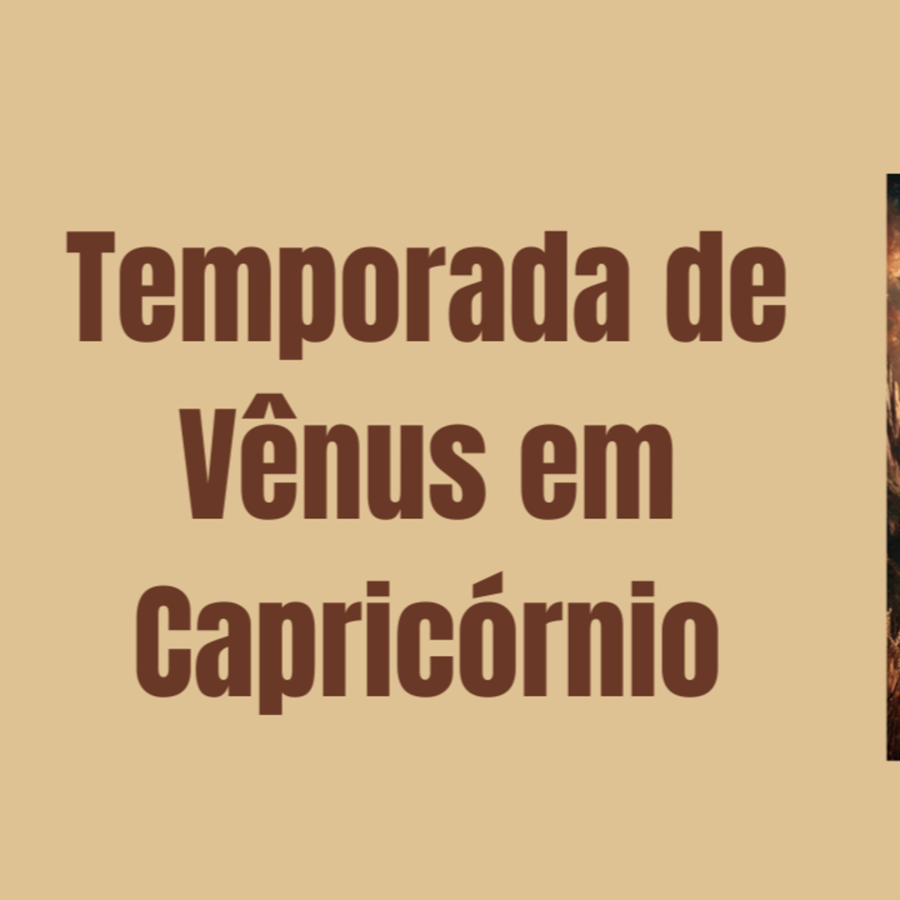 Temporada de Vênus em Capricórnio episode artwork