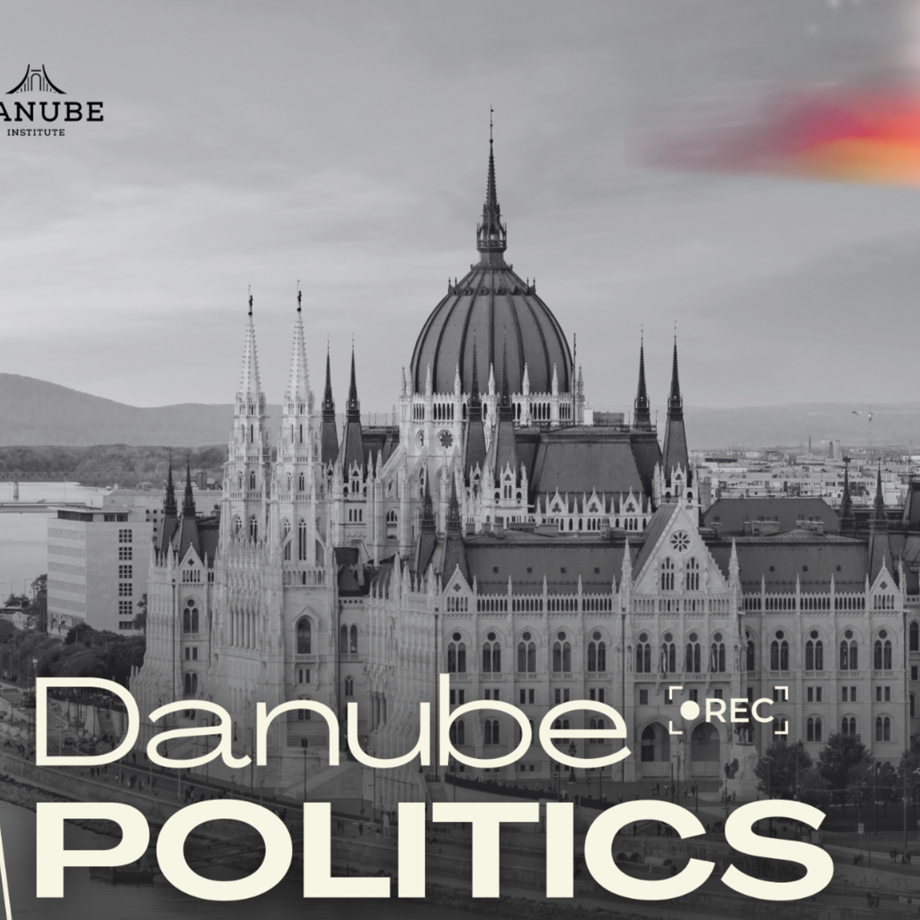 The Fourth Wave of Jihad | Danube Politics episode artwork