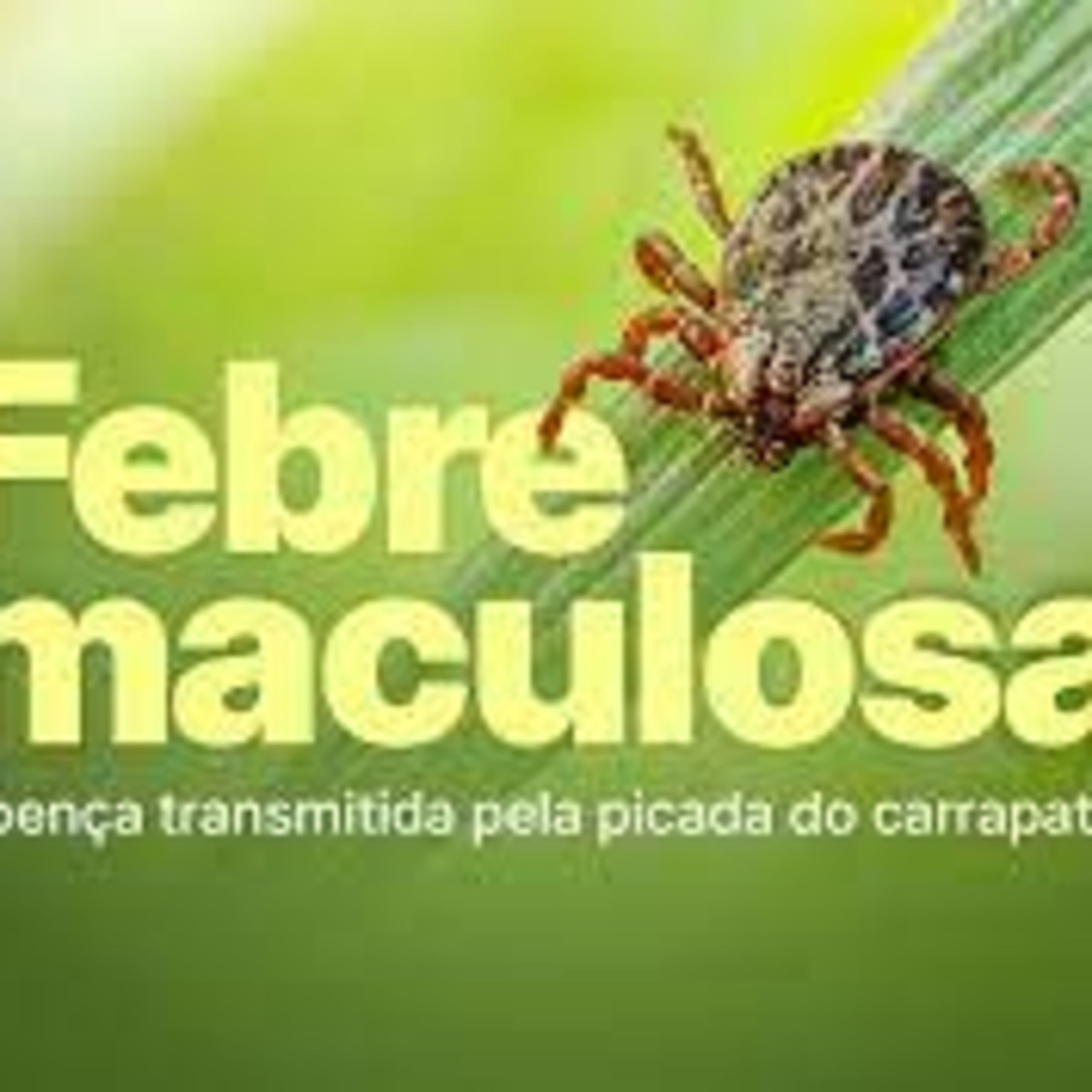 Casos suspeitos de Febre Maculosa são investigados na zona rural de Caxias/MA episode artwork