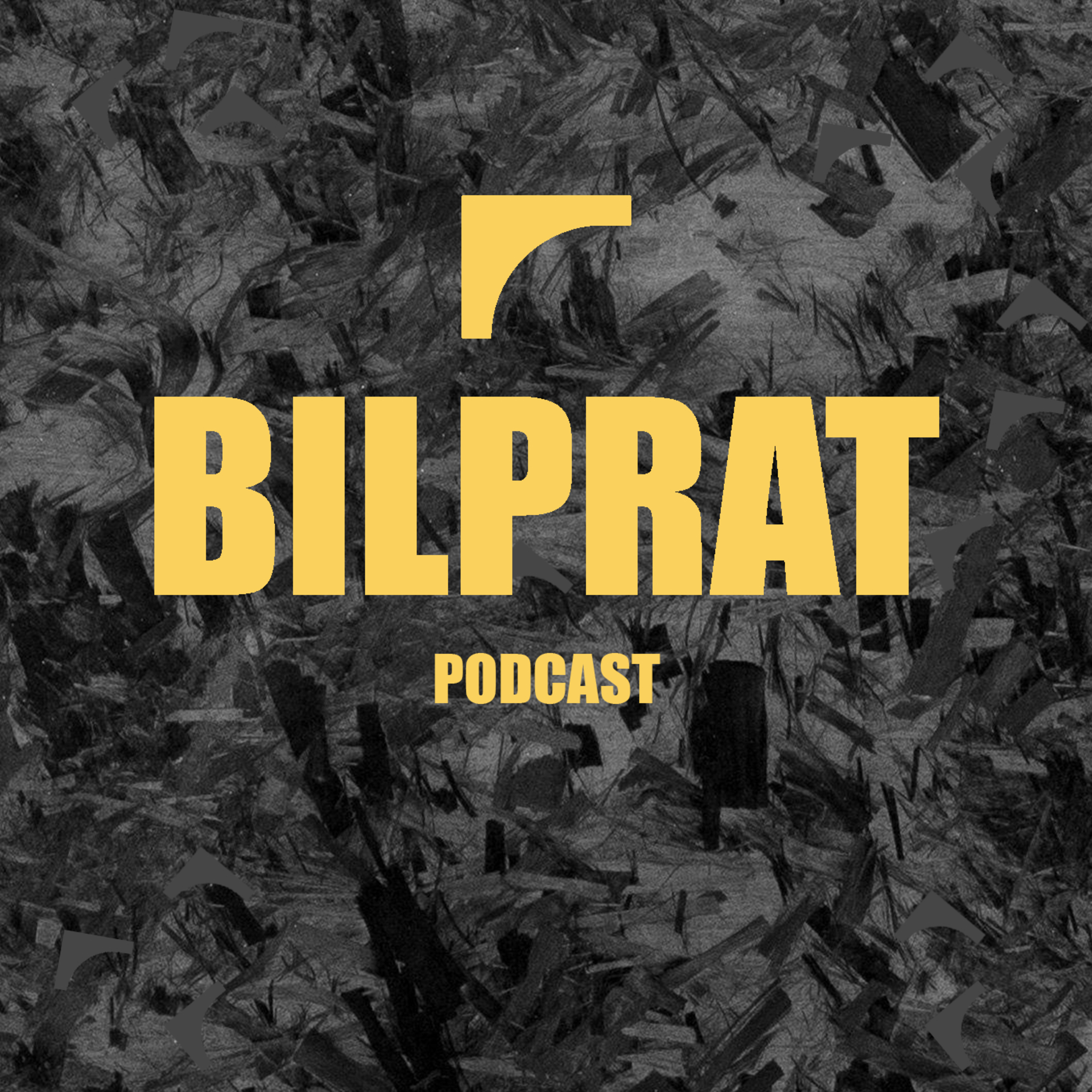 Bilprat