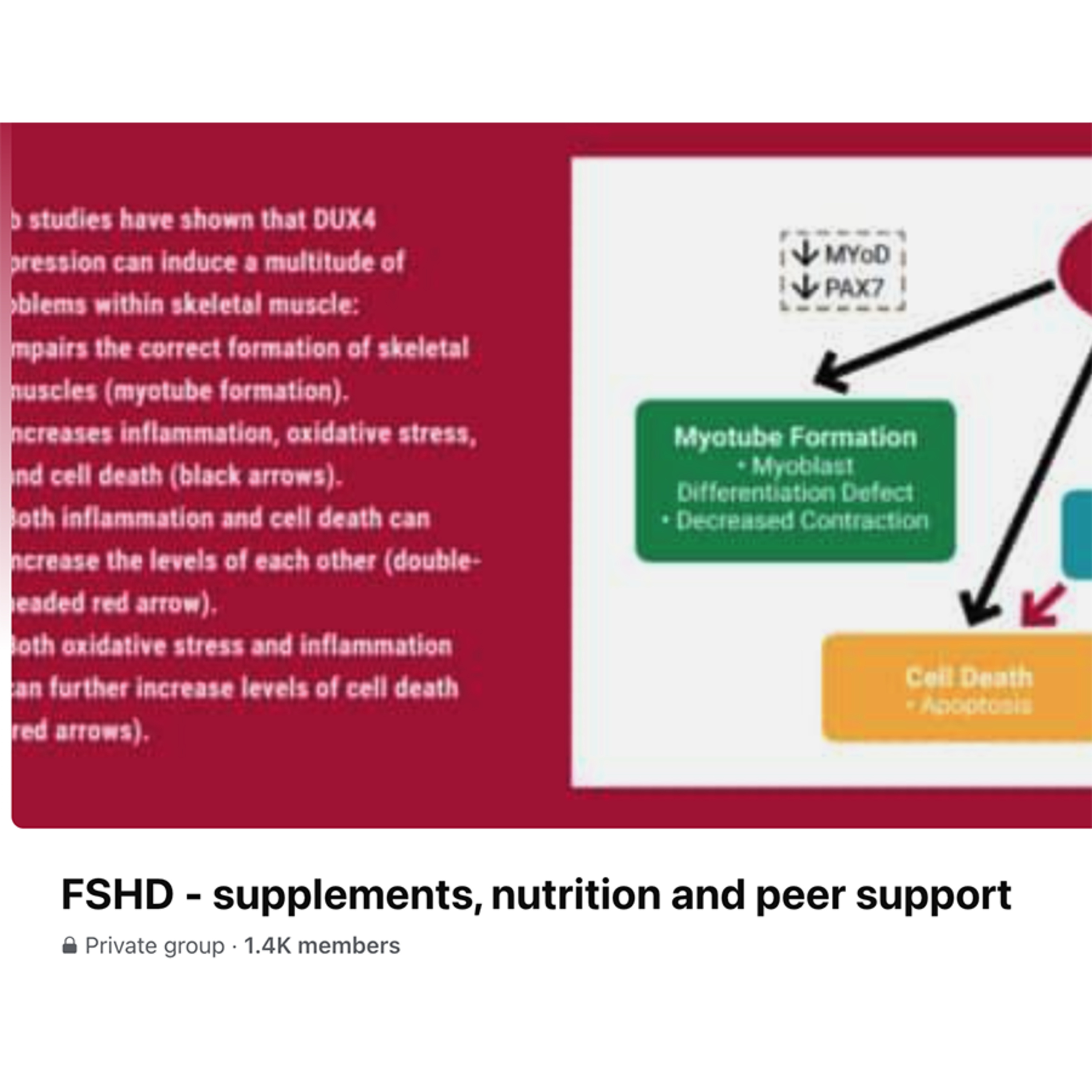 Options for nutrition, supplements, and exercise for FSHDers with Tamara Gottlieb (Part 1)