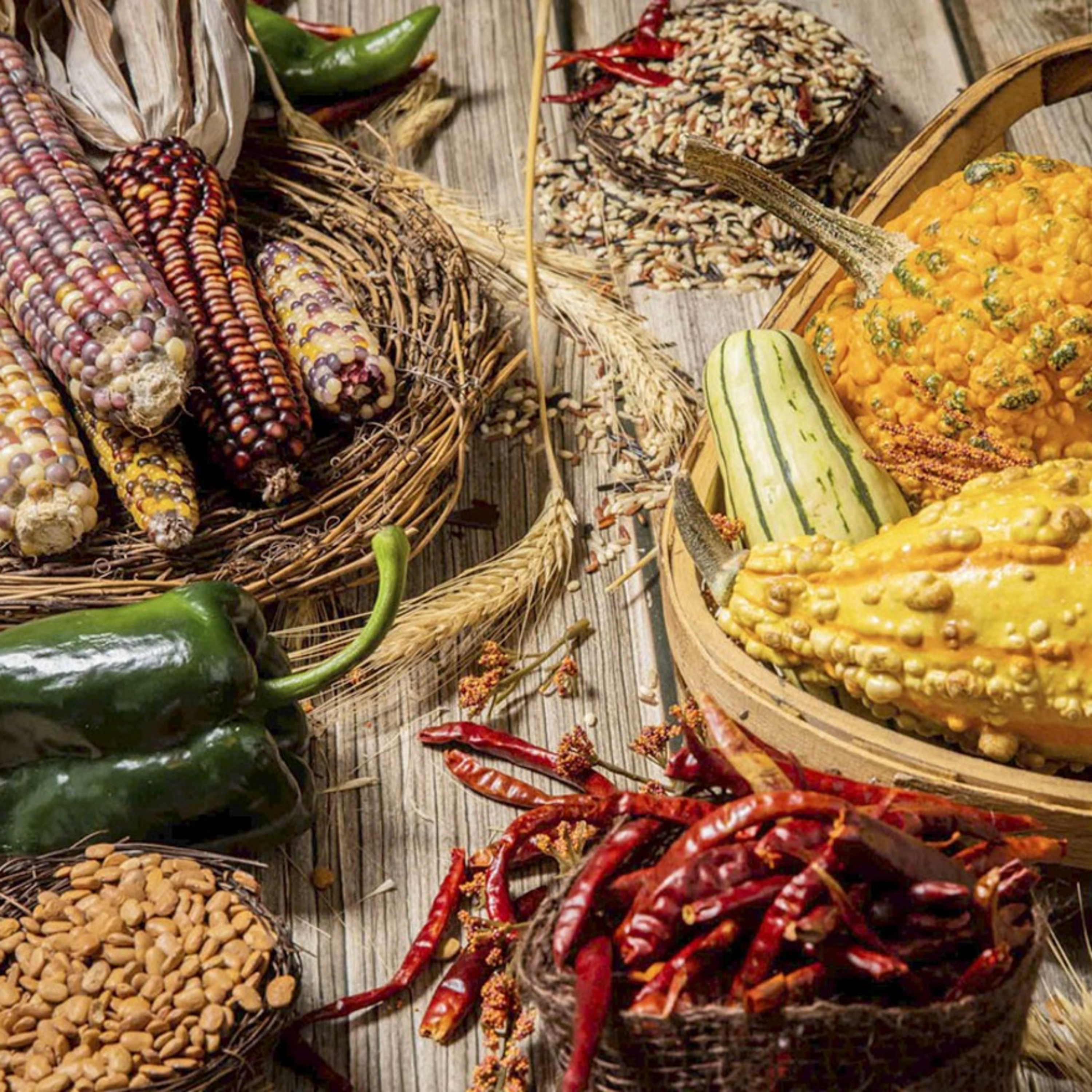 Our World Our Time Ep mini 122 Native American Food & Farming episode artwork