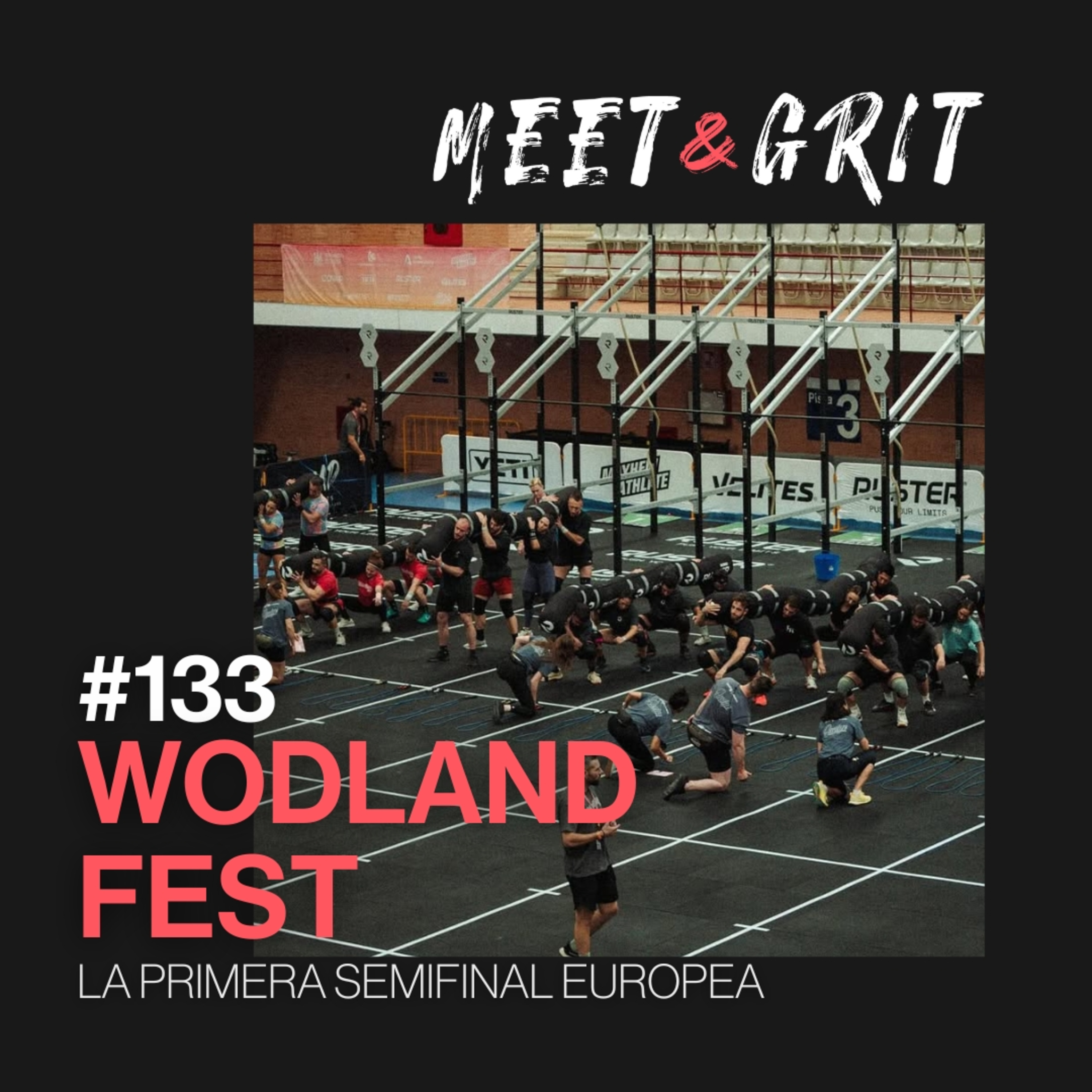 #133 - Wodland Fest, la primera semifinal europea episode artwork
