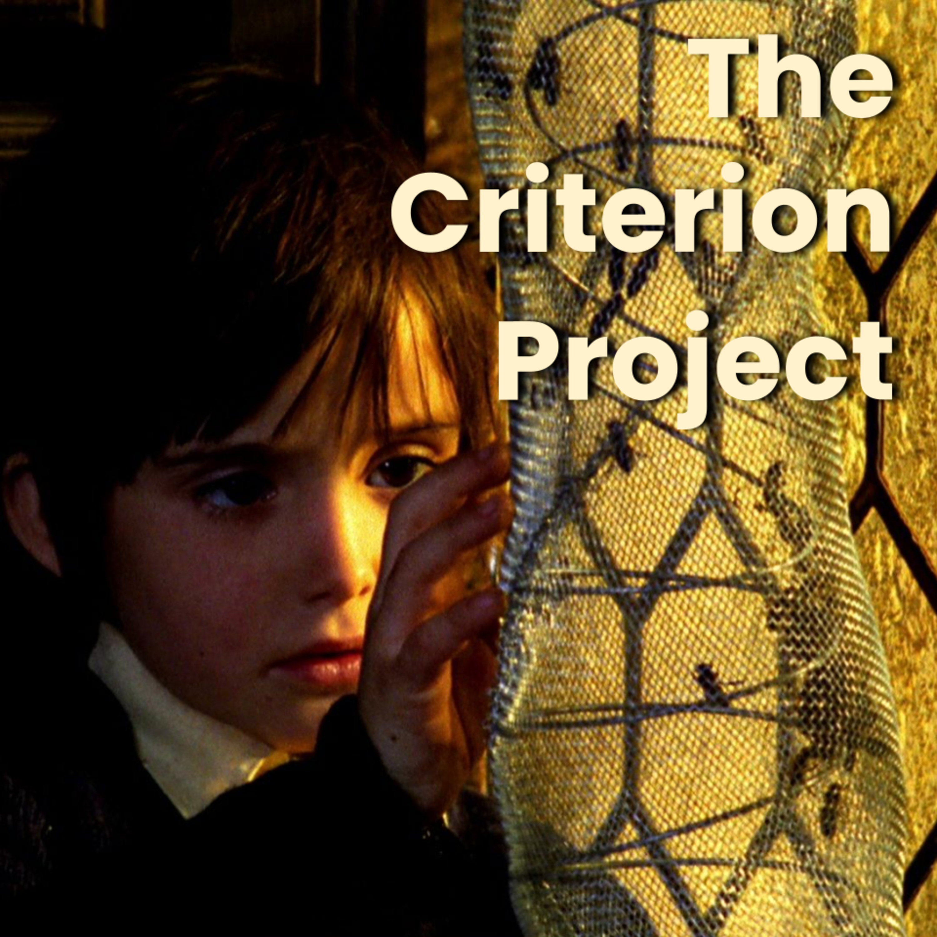 The Criterion Project