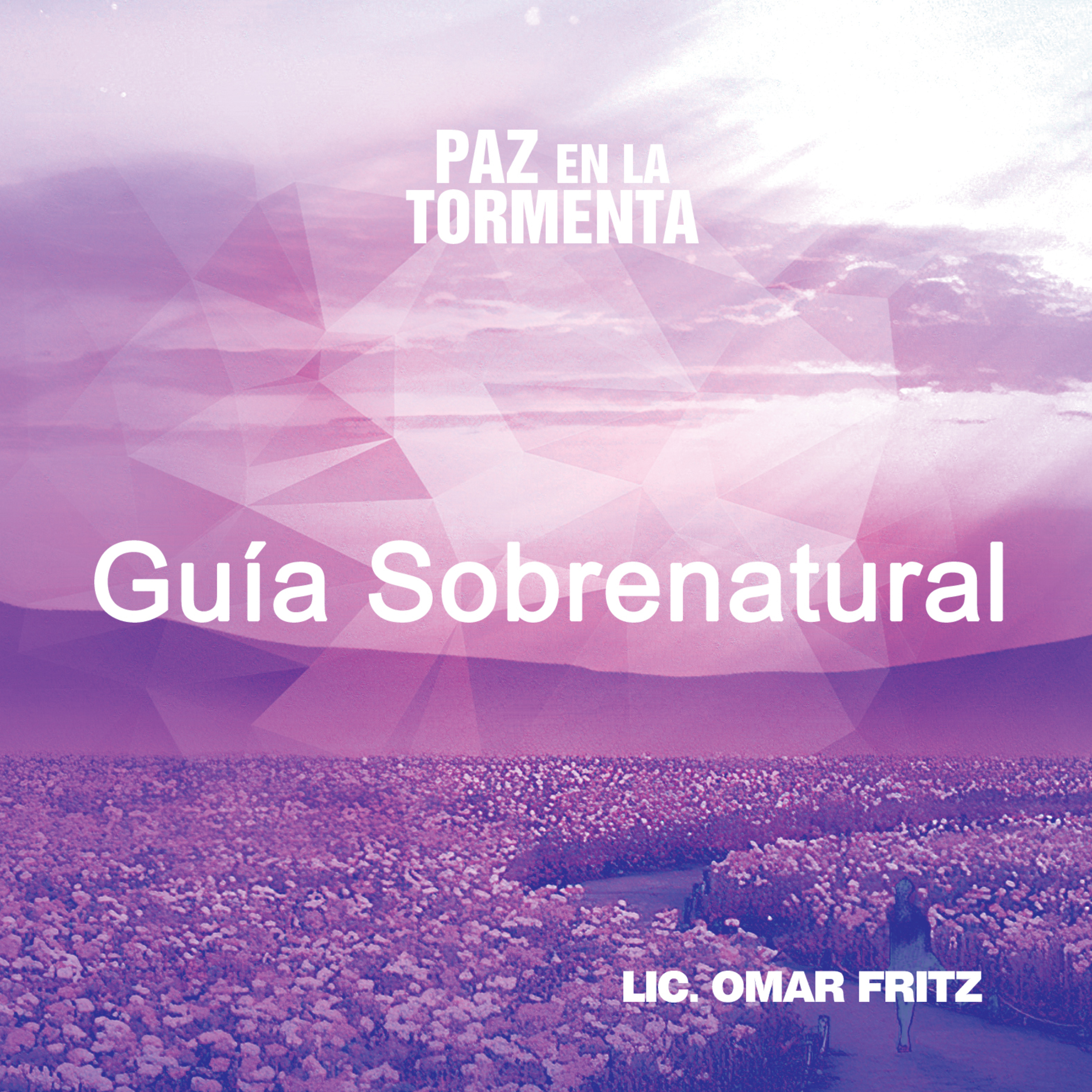 PAZ EN LA TORMENTA
