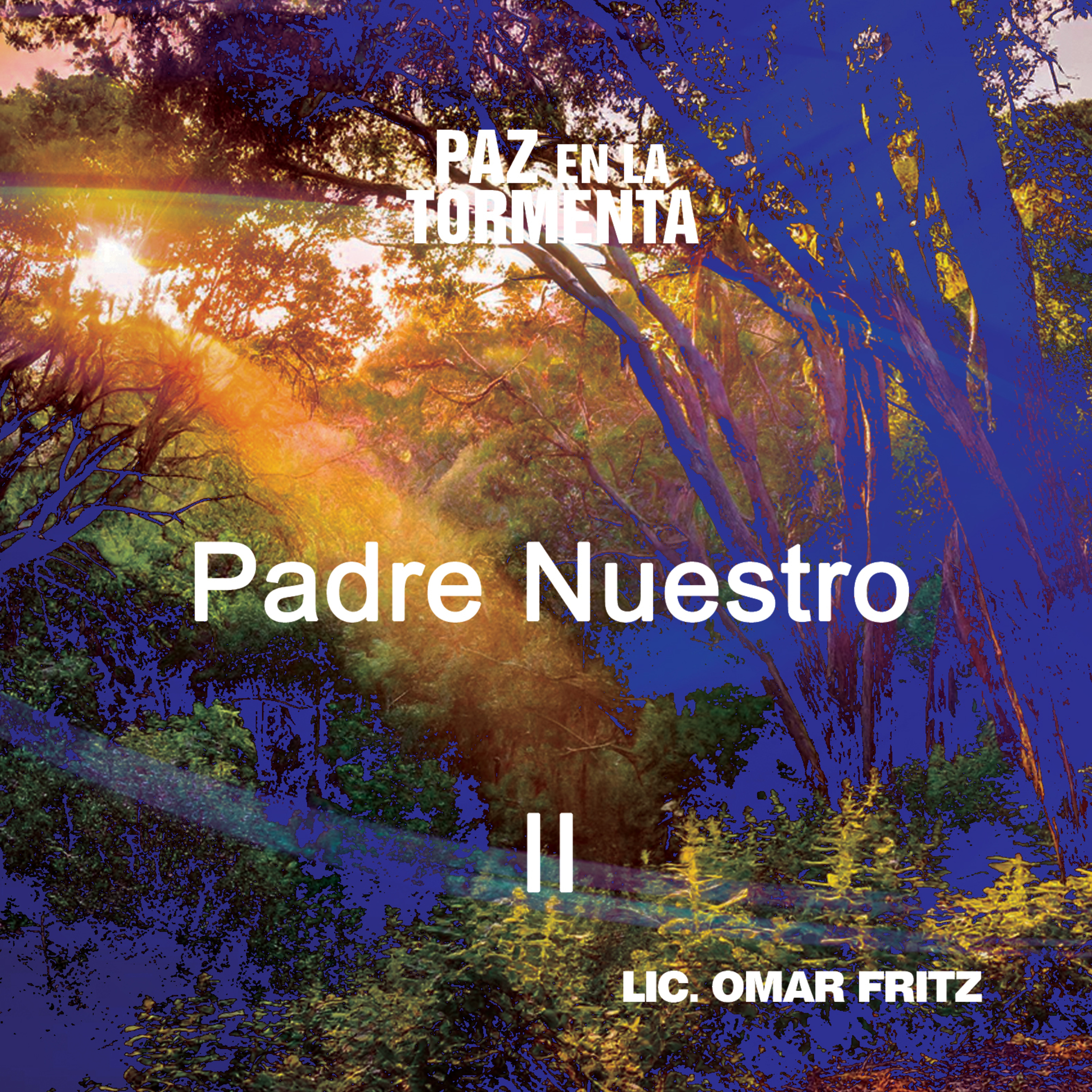 PAZ EN LA TORMENTA