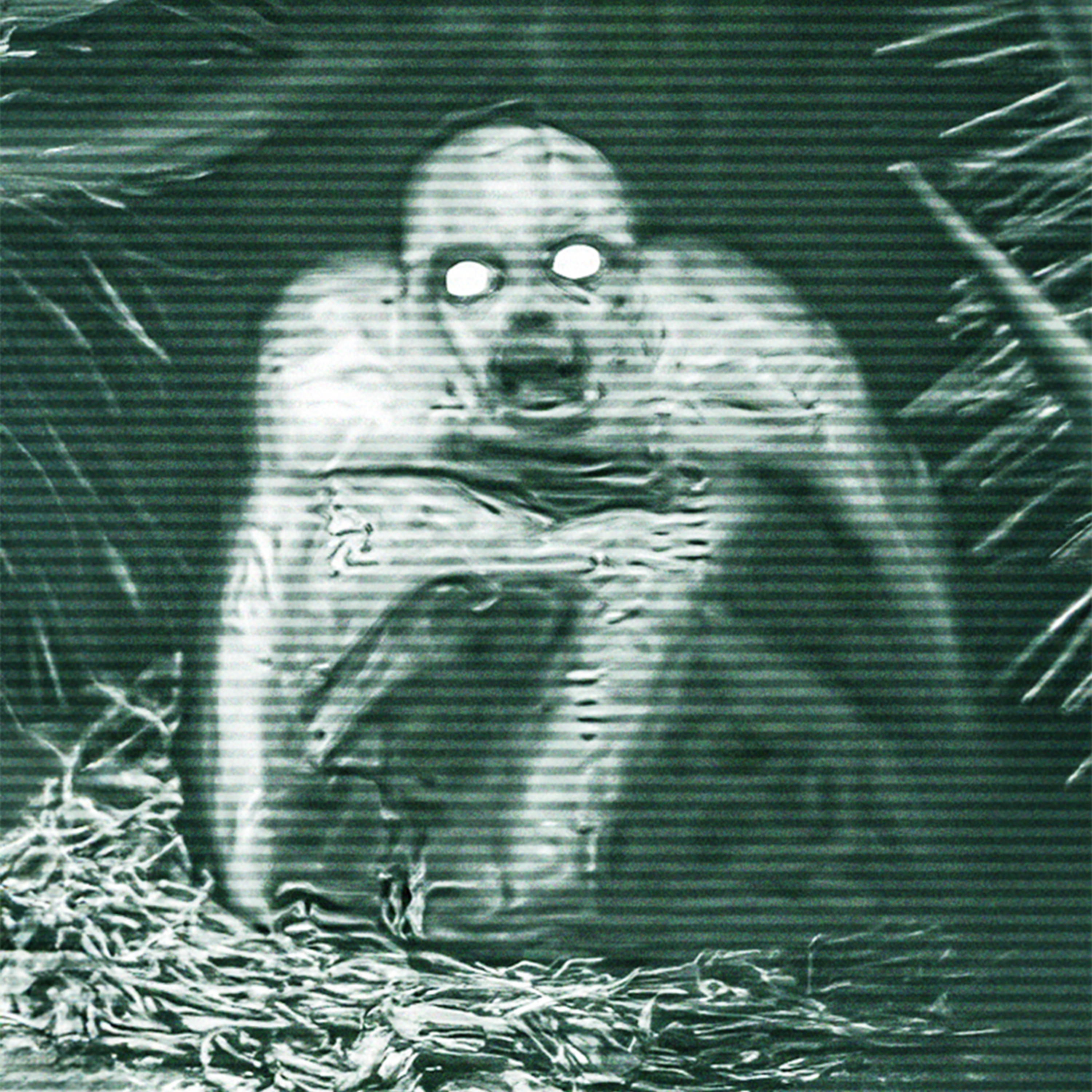 10 Videos de Terror Real en los MONTES APALACHES | PARTE 4