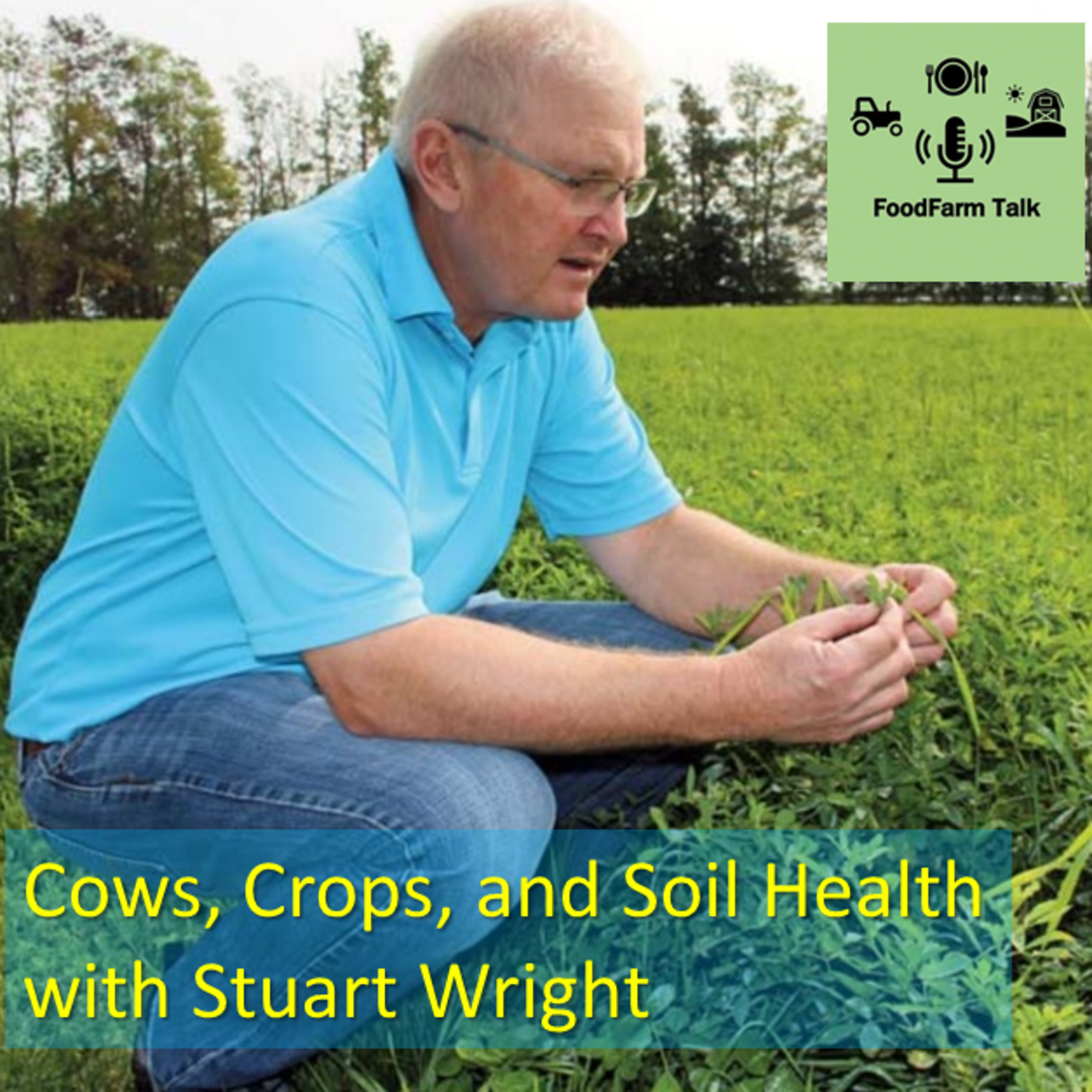 Cows, Crops, and Soil Health, with Stuart Wright, Wellington County farmer (Encore) episode artwork