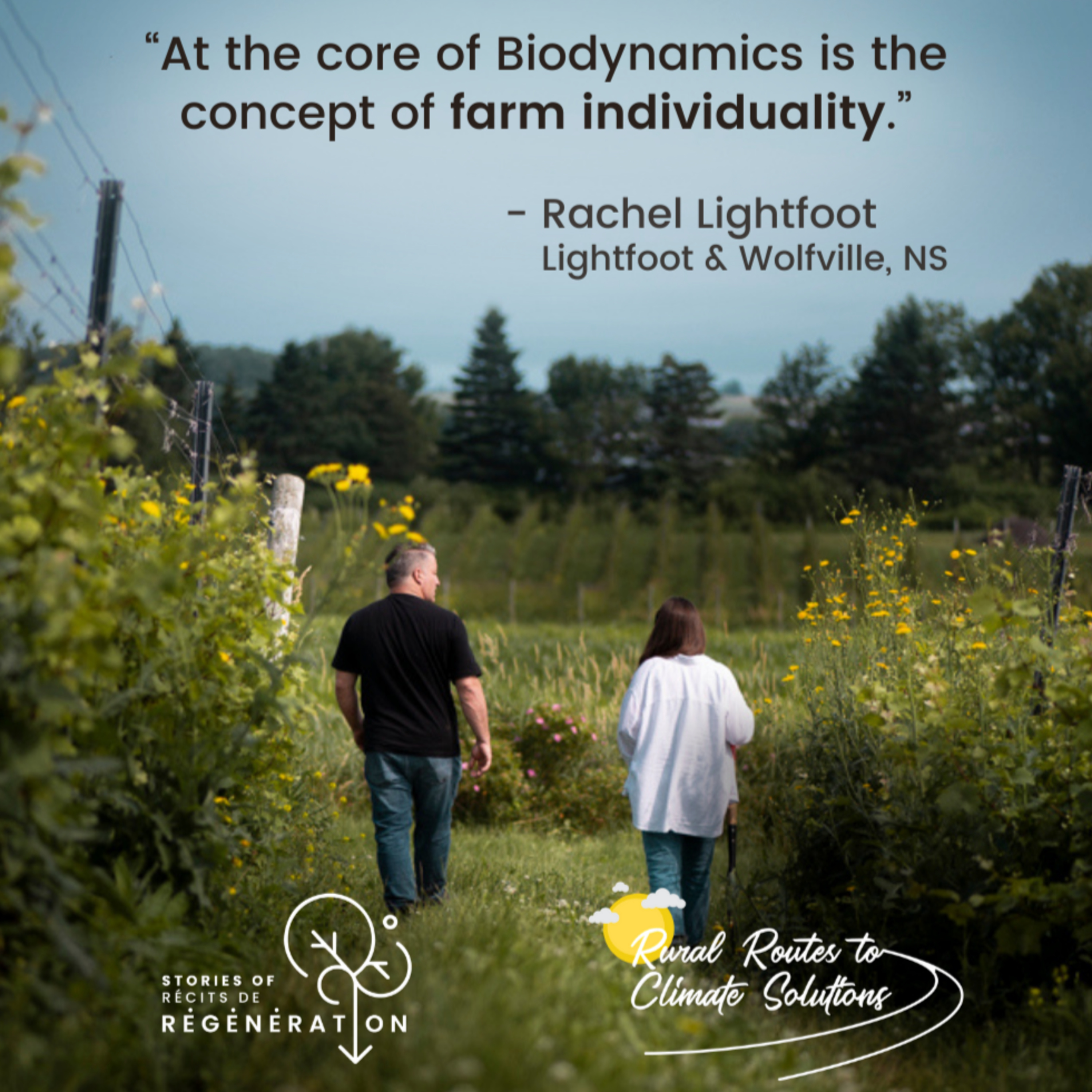 Connecting People to Place on Rachel Lightfoot's organic, biodynamic vineyards  episode artwork