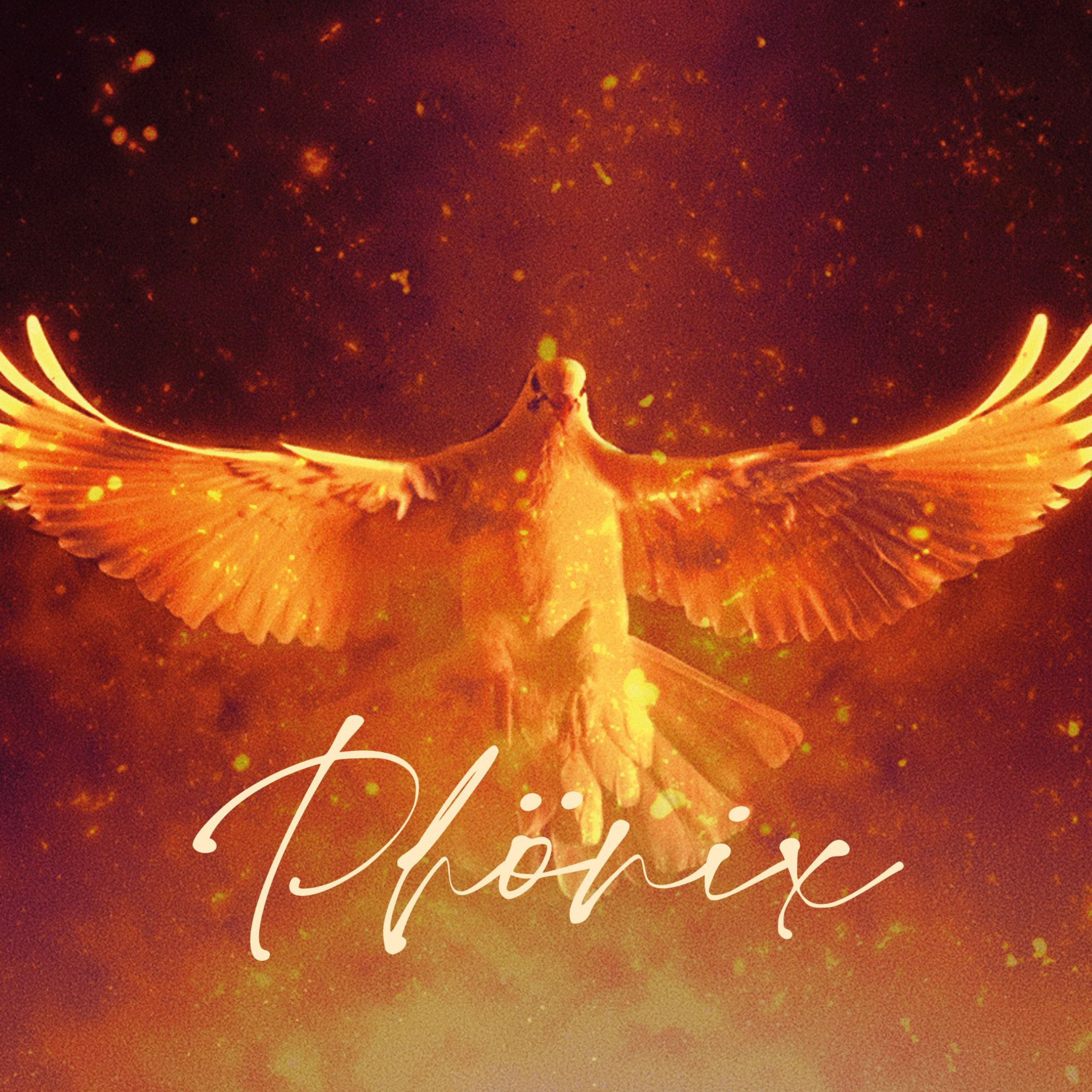 Stefan Striefler - Phoenix - Die Freude am Herrn ist meine Stärke episode artwork