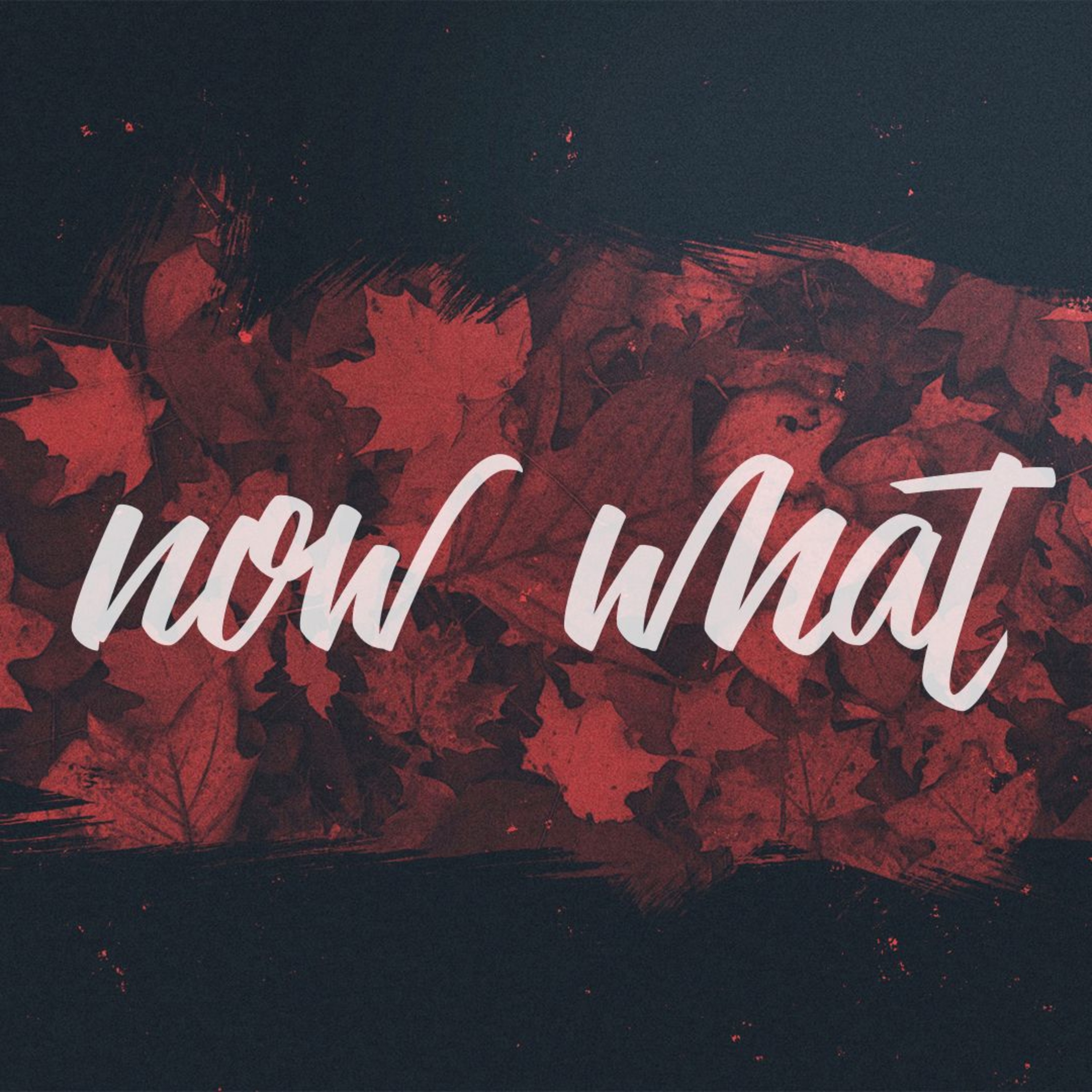 9/17/17 - Now What - We're Gonna Have a Blast Doing This episode artwork