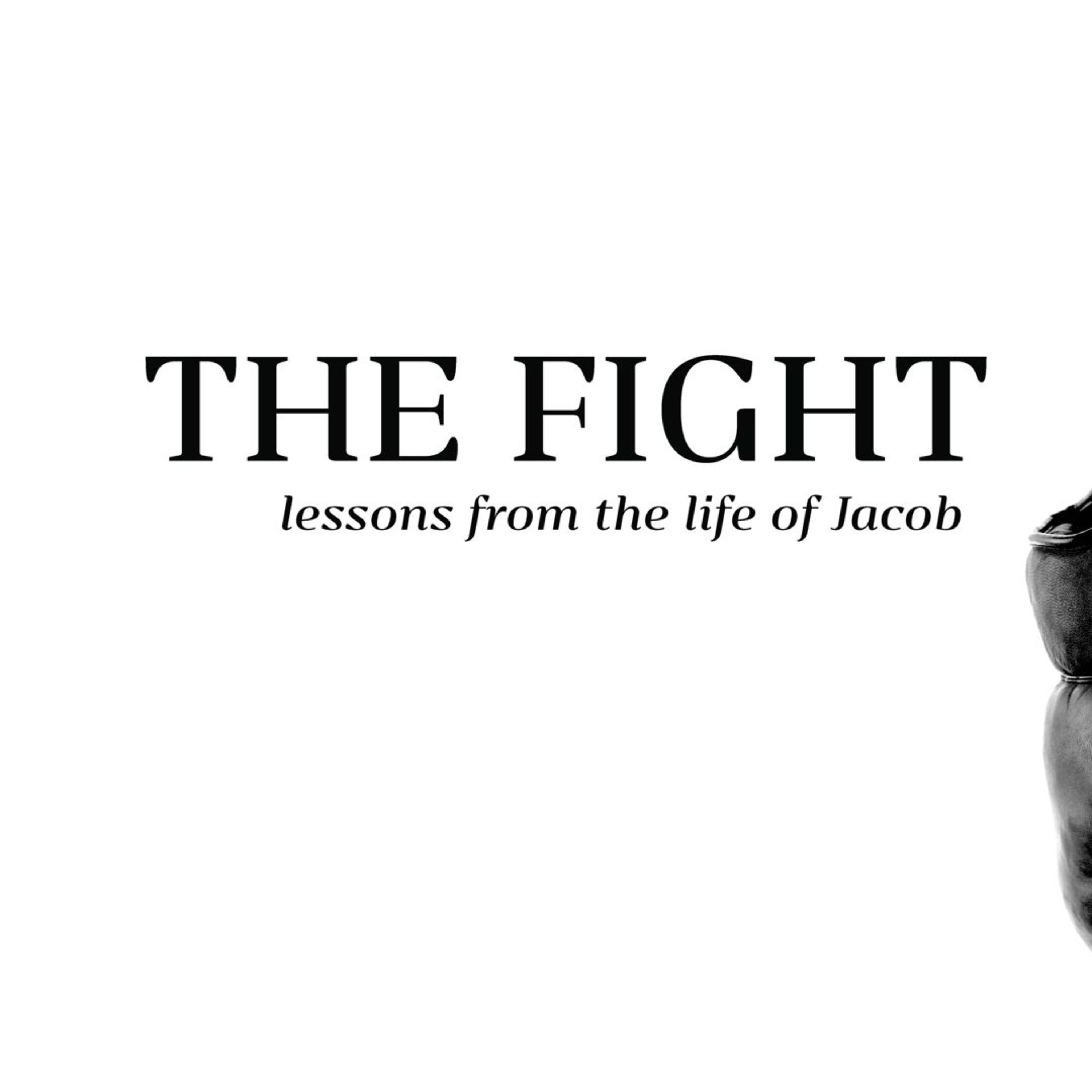 6/18/17 - The Fight - Father's Day episode artwork