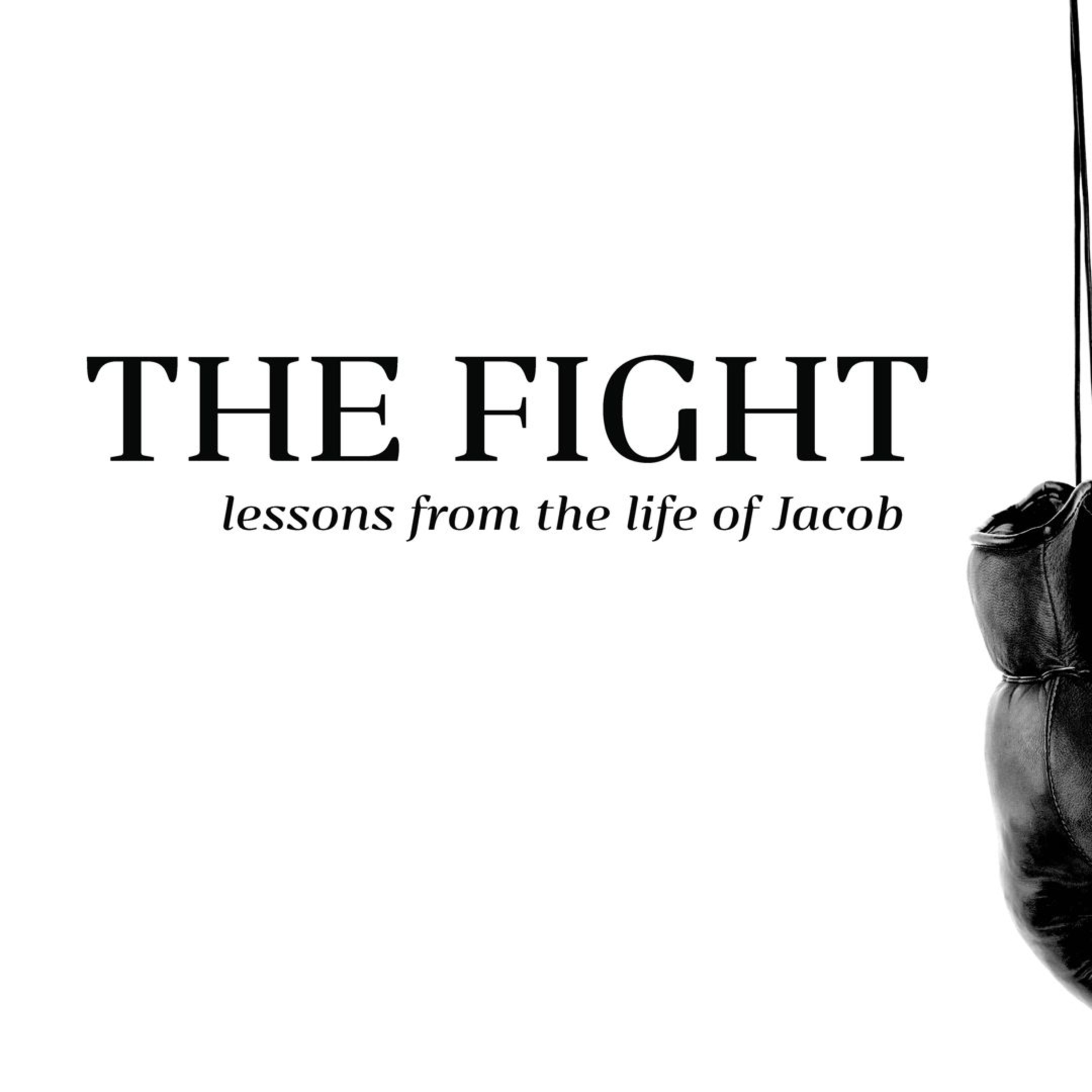7/2/17 - The Fight - Fighting With Family