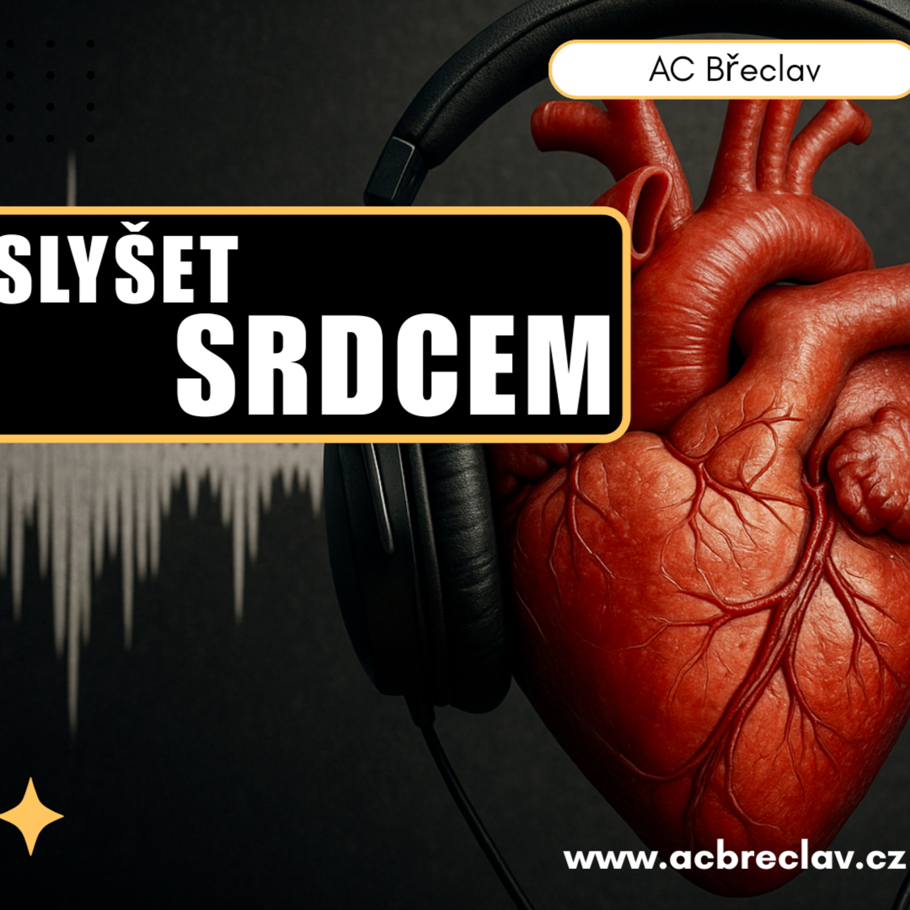 Slyšet srdcem - Lukáš Sedlák episode artwork