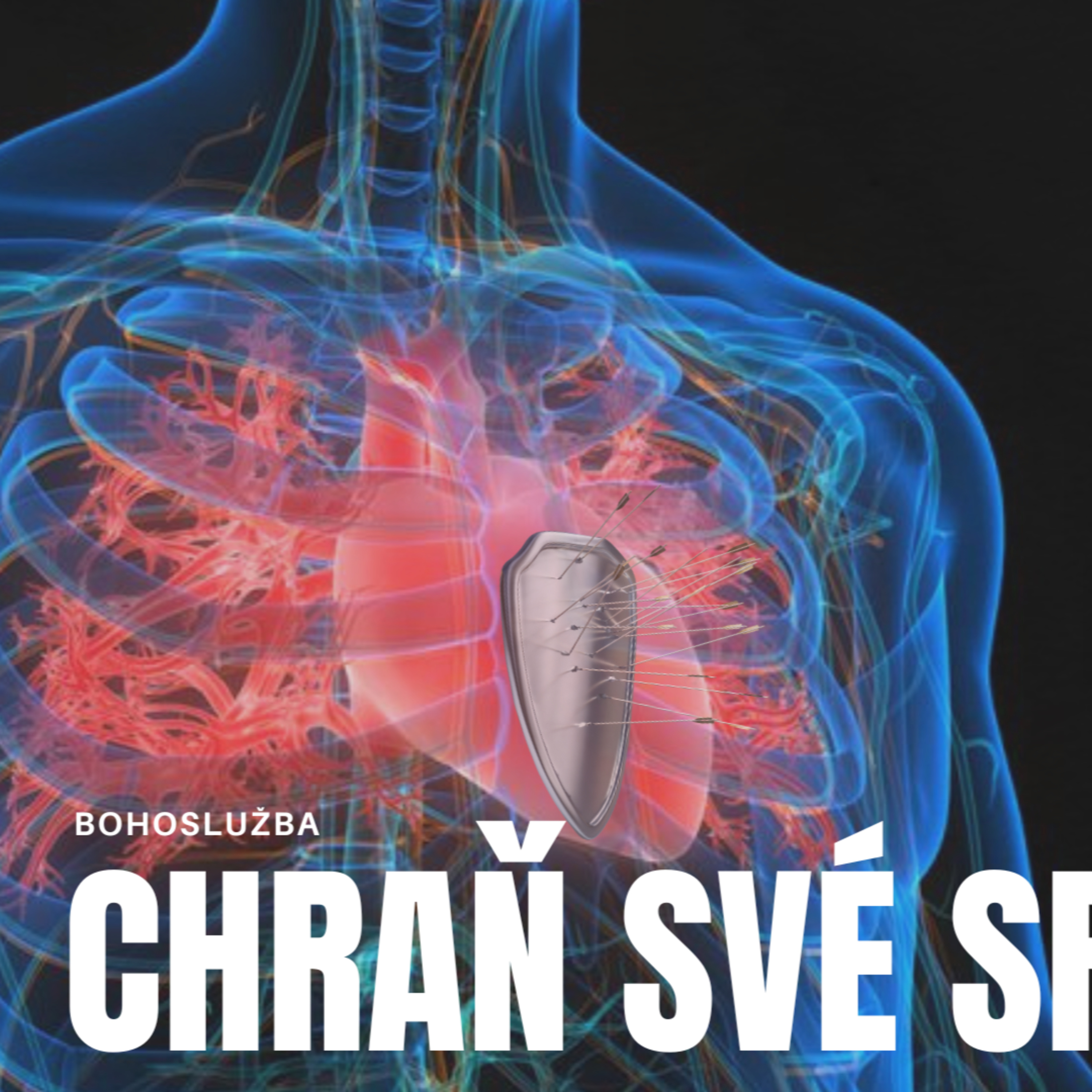 Chraň své srdce - Rudolf Vrba episode artwork