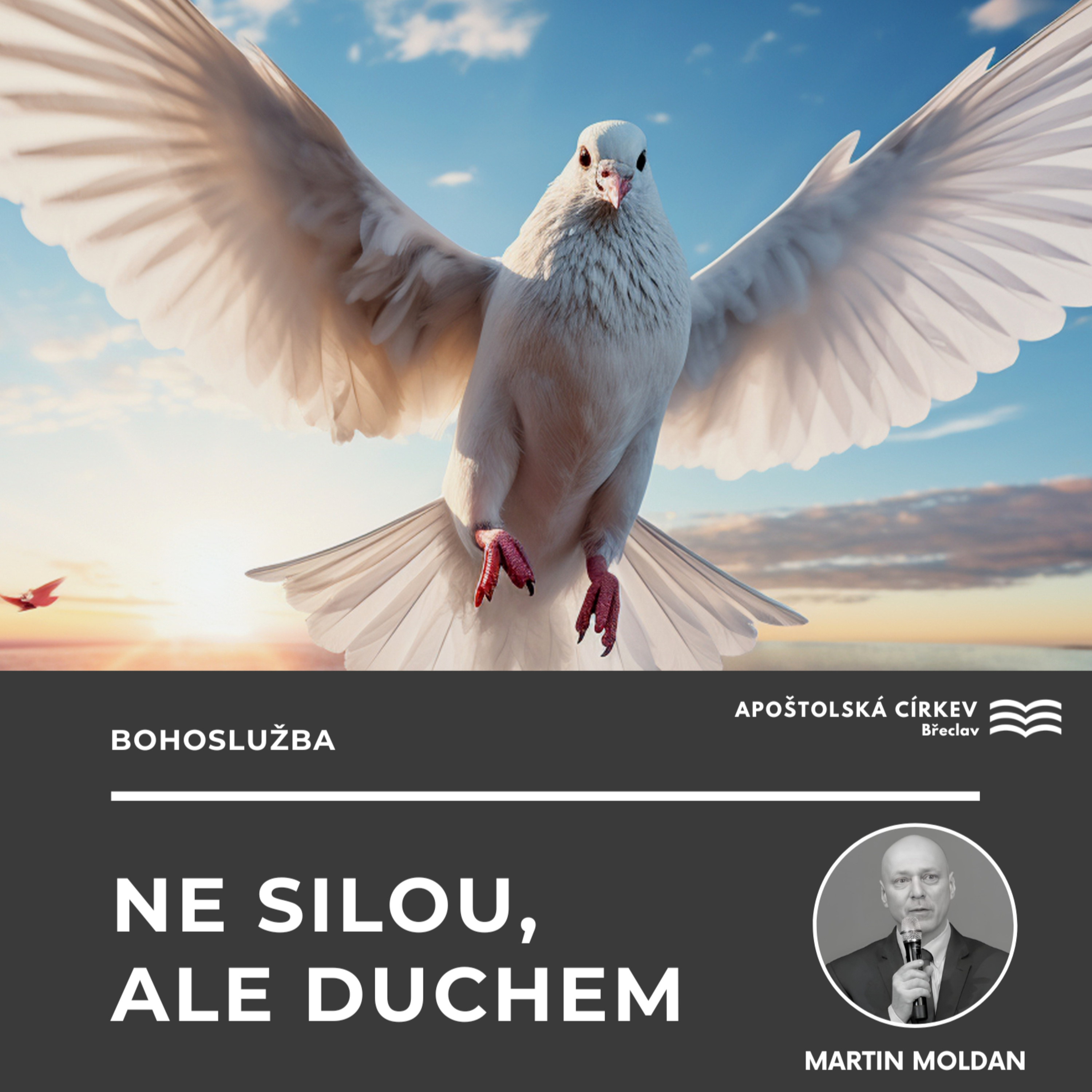 Ne silou, ale Duchem - Martin Moldan episode artwork