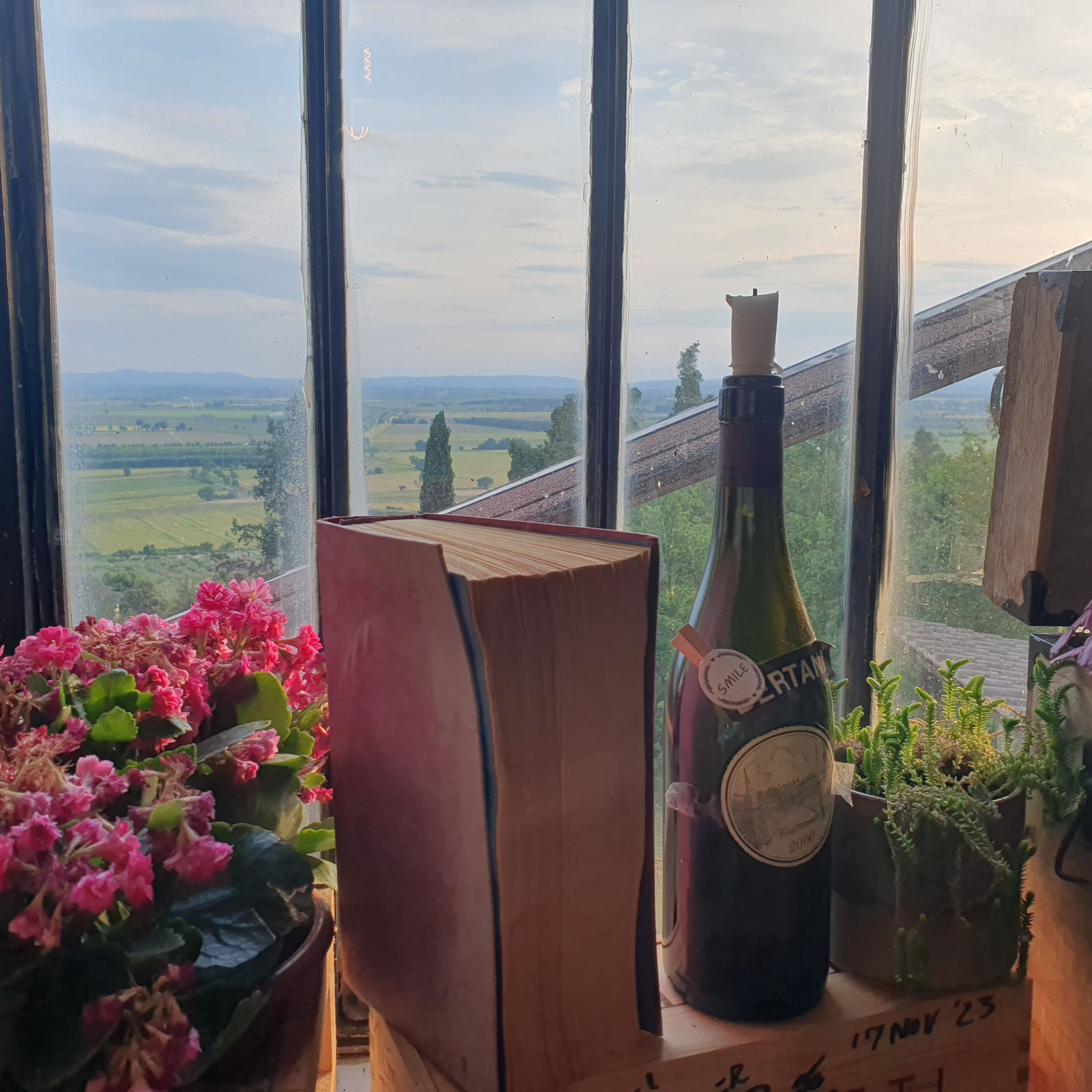 253. Sommelier'in Gözünden Şarap: Tat ve Koku