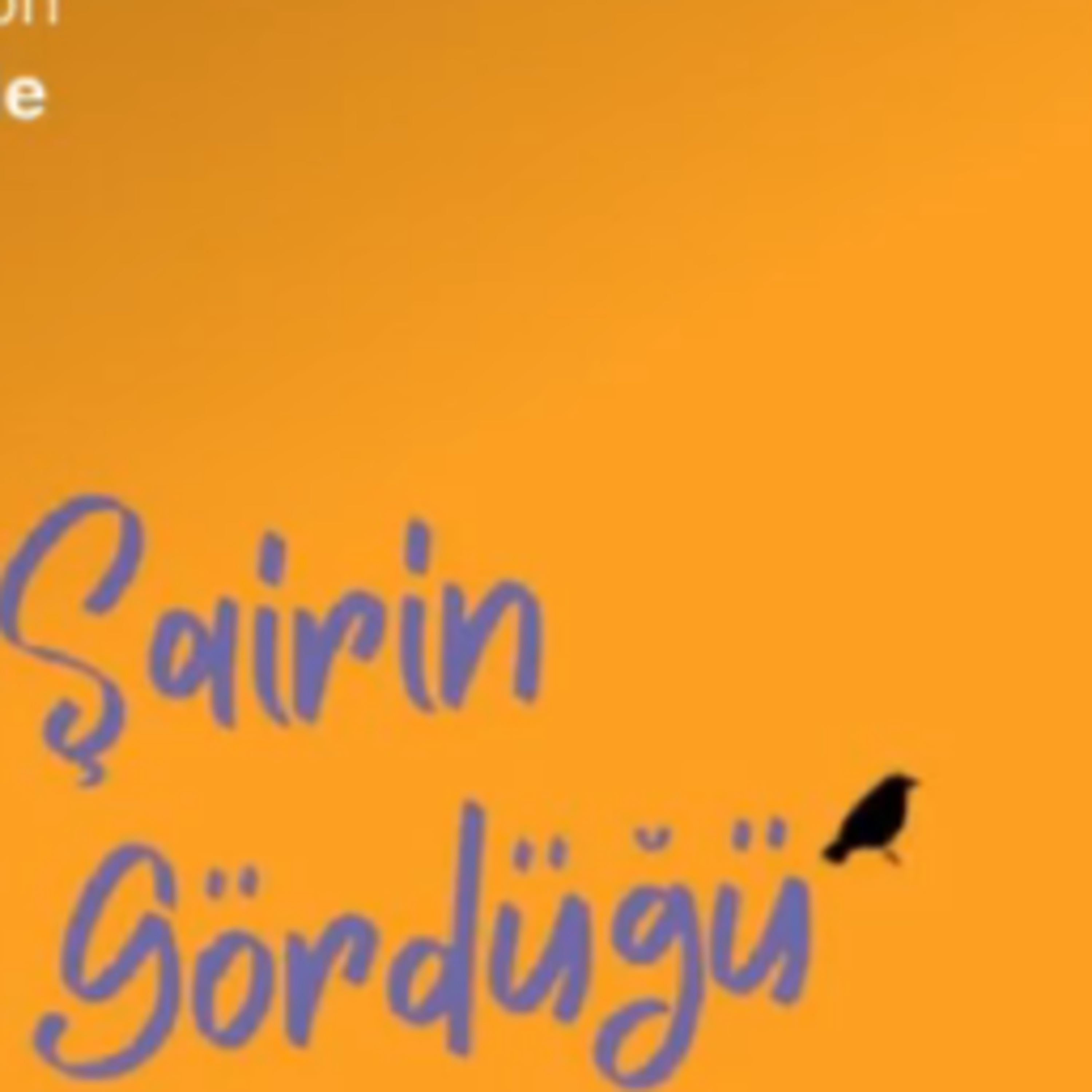 266. 'Şairin gördüğü' nedir?