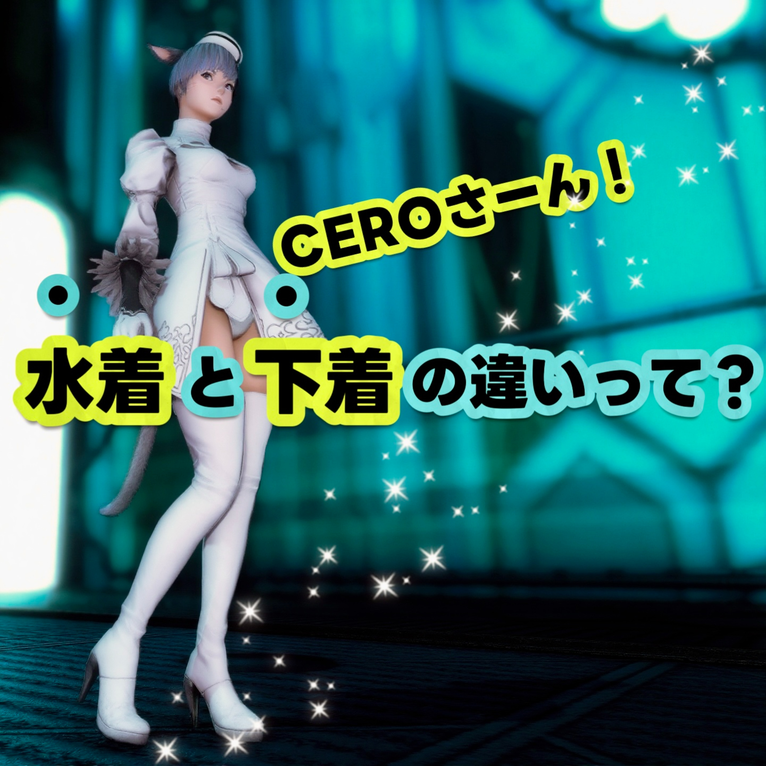 下着と水着の方向性の違いって？CEROのレーティング考察!
