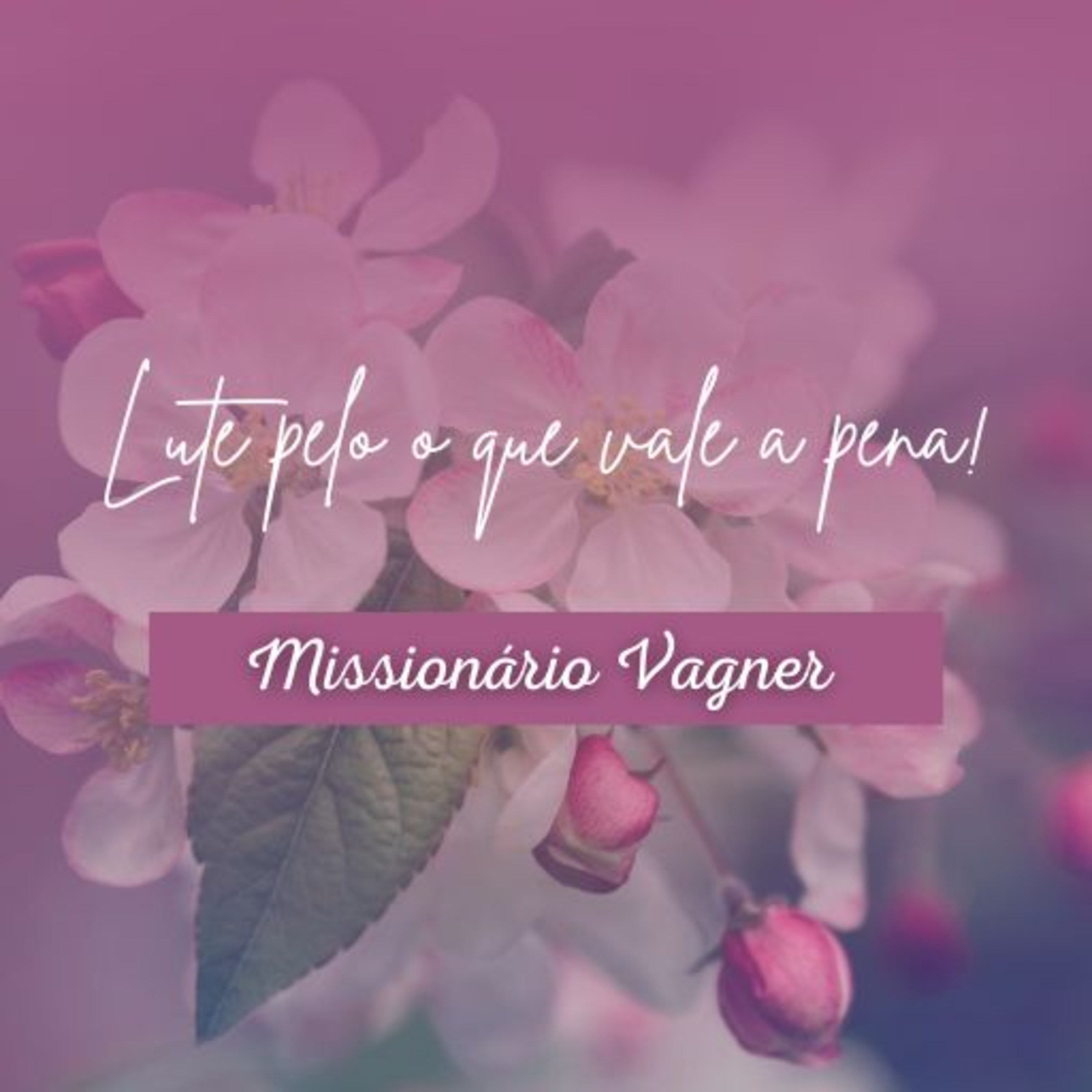 Lute pelo o que vale a pena lutar - Pregação na Igreja episode artwork