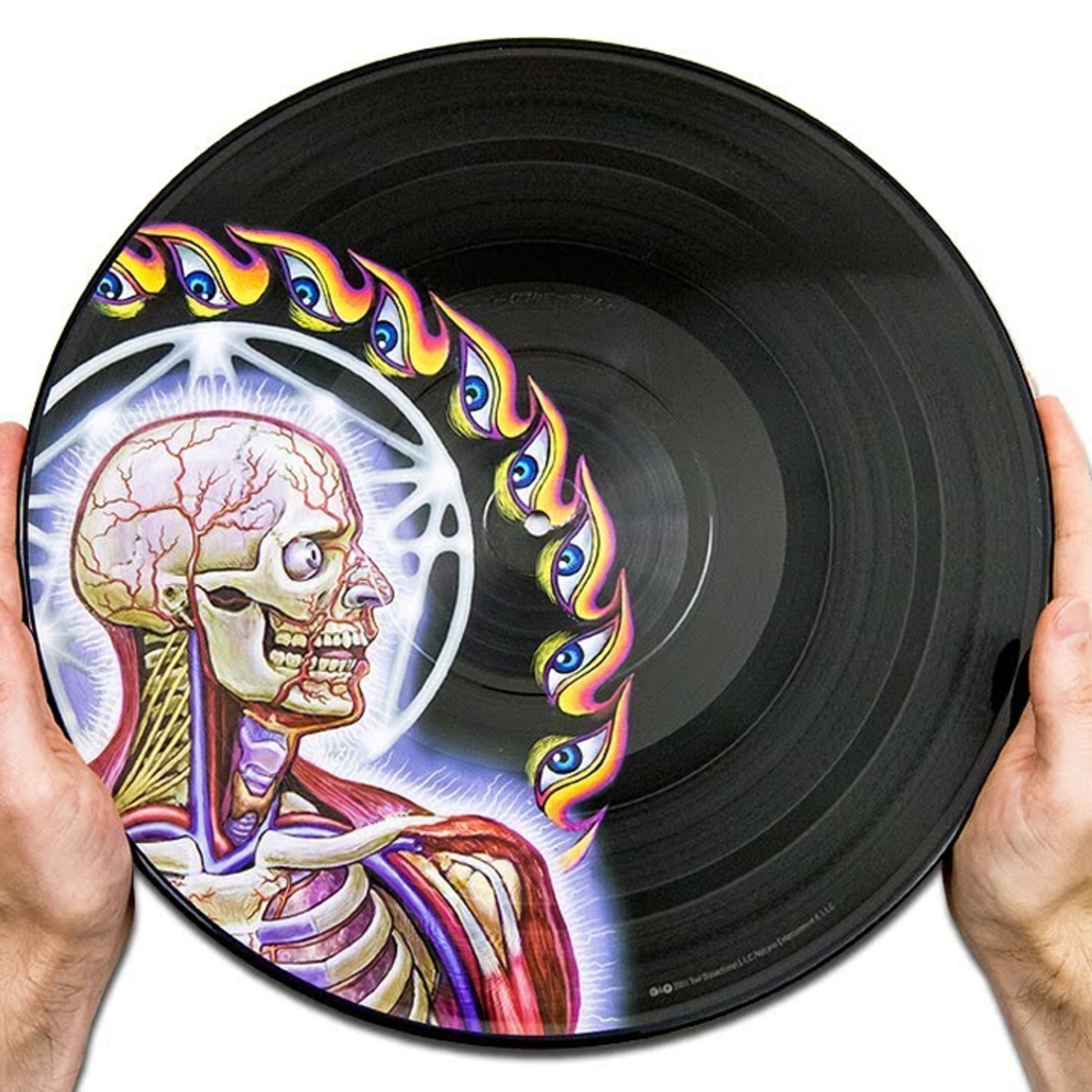 Vinyl Verdict