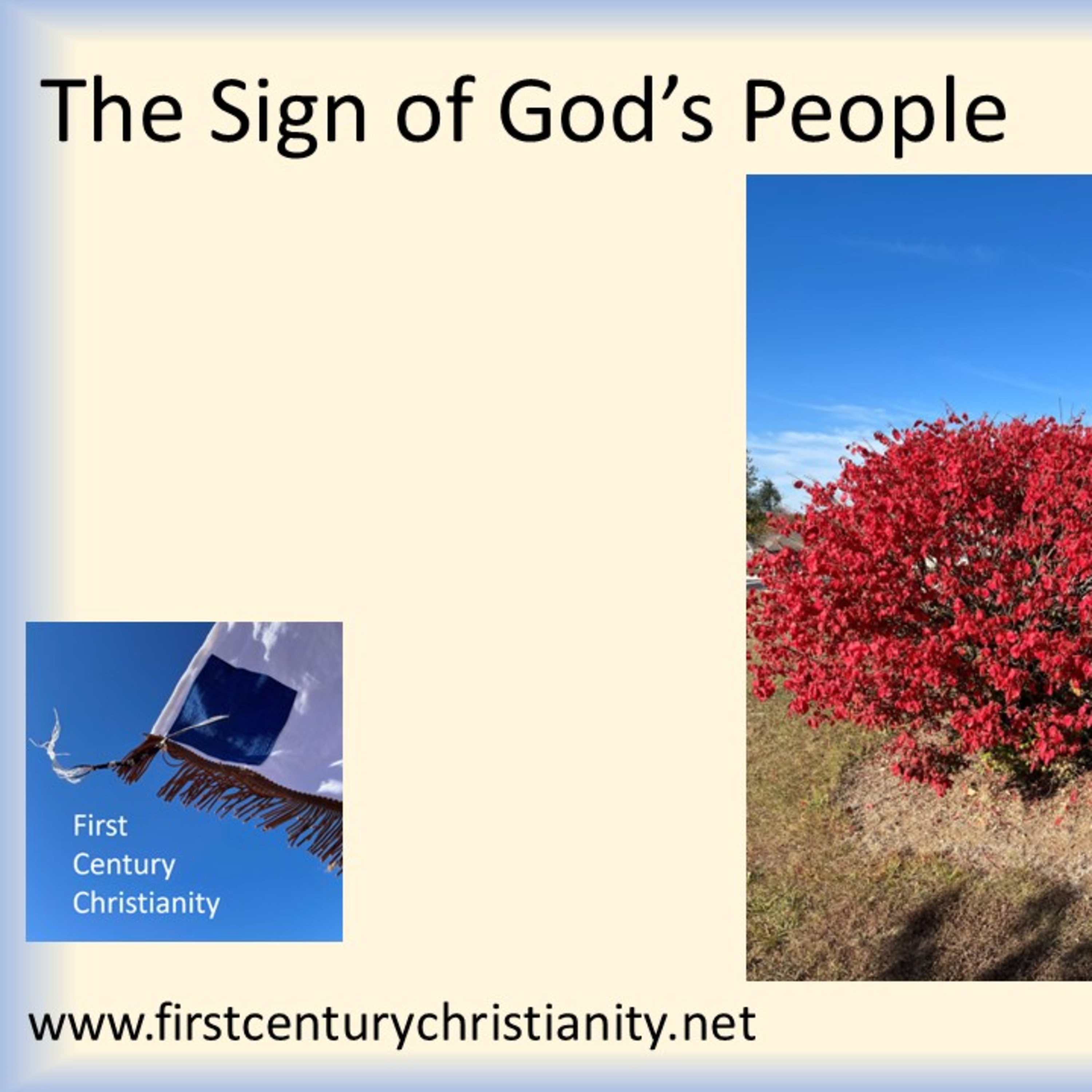 The Sign of God's People episode artwork