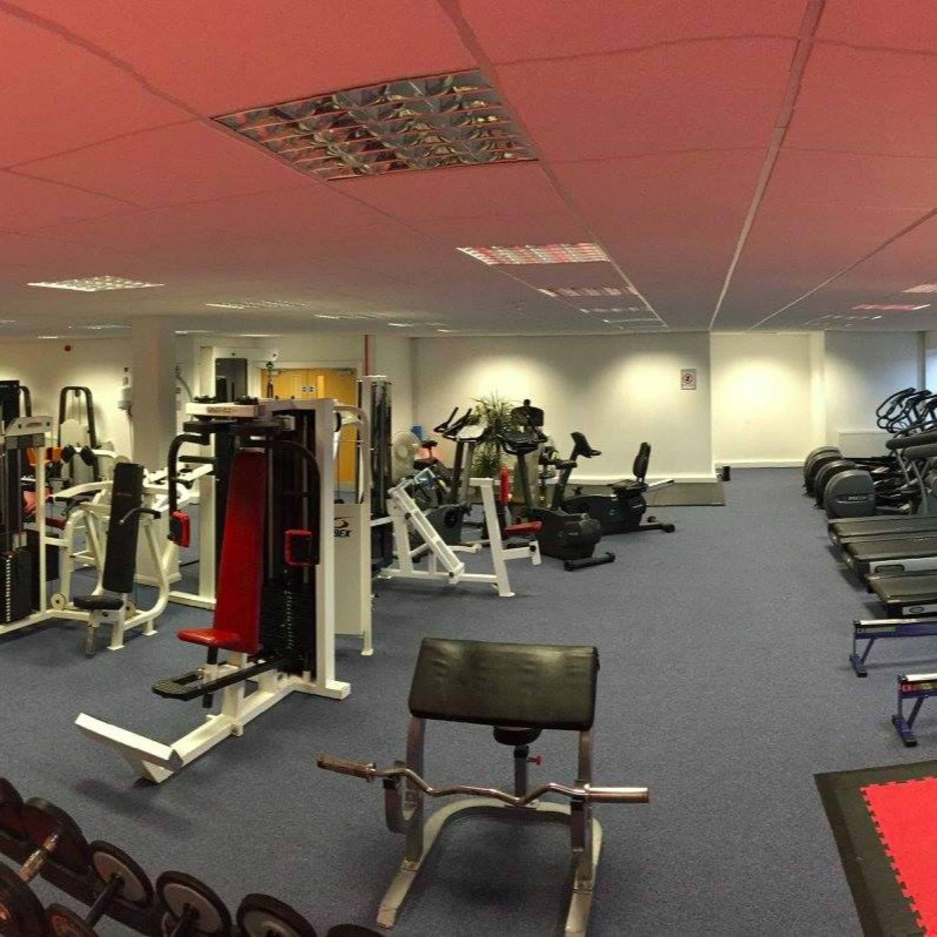 (Reading) Half Marathon Special! - Twyford Health Club Podcast, January 2017