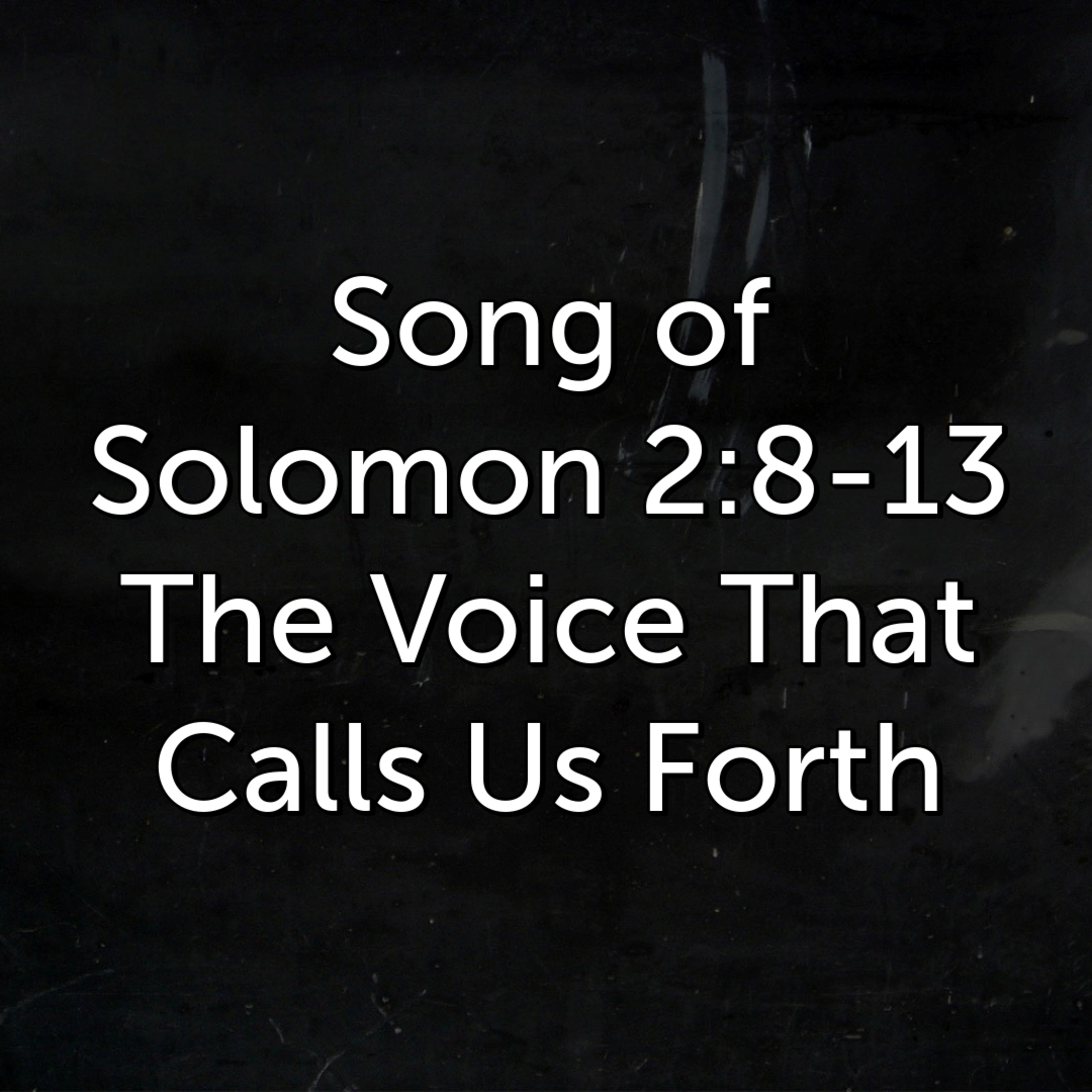The Voice That Calls Us Forth episode artwork