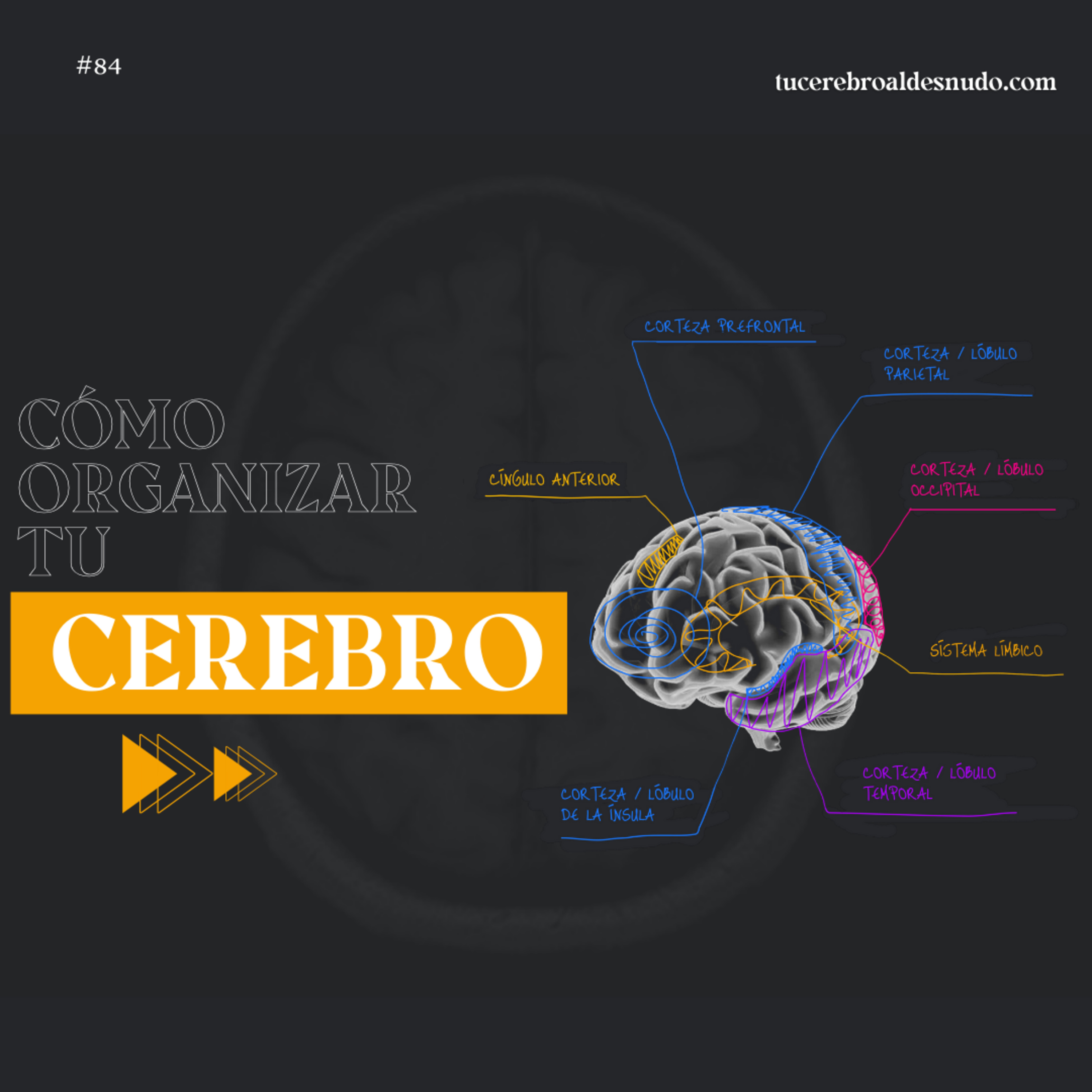 Cerebro Injodible®