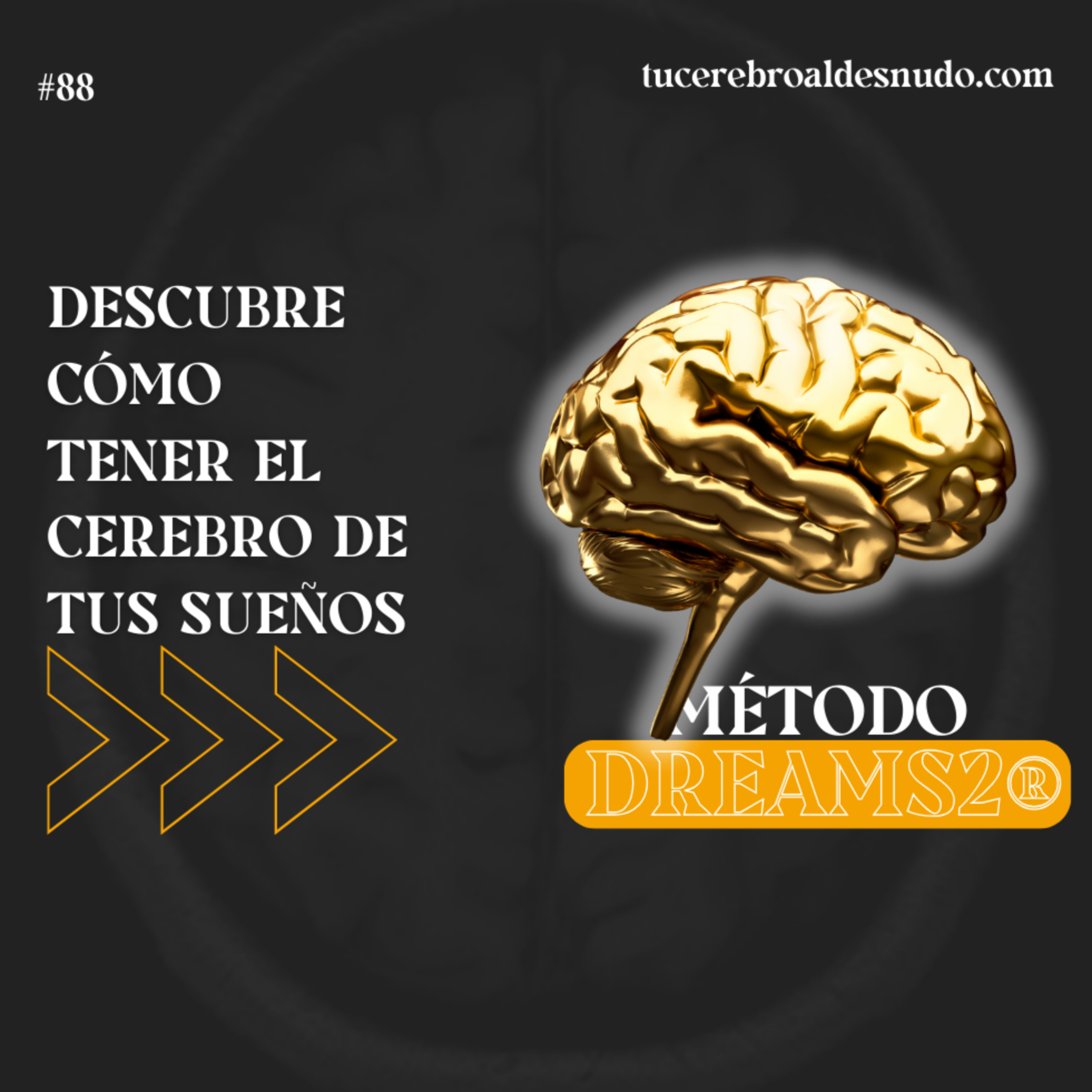 Cerebro Injodible®