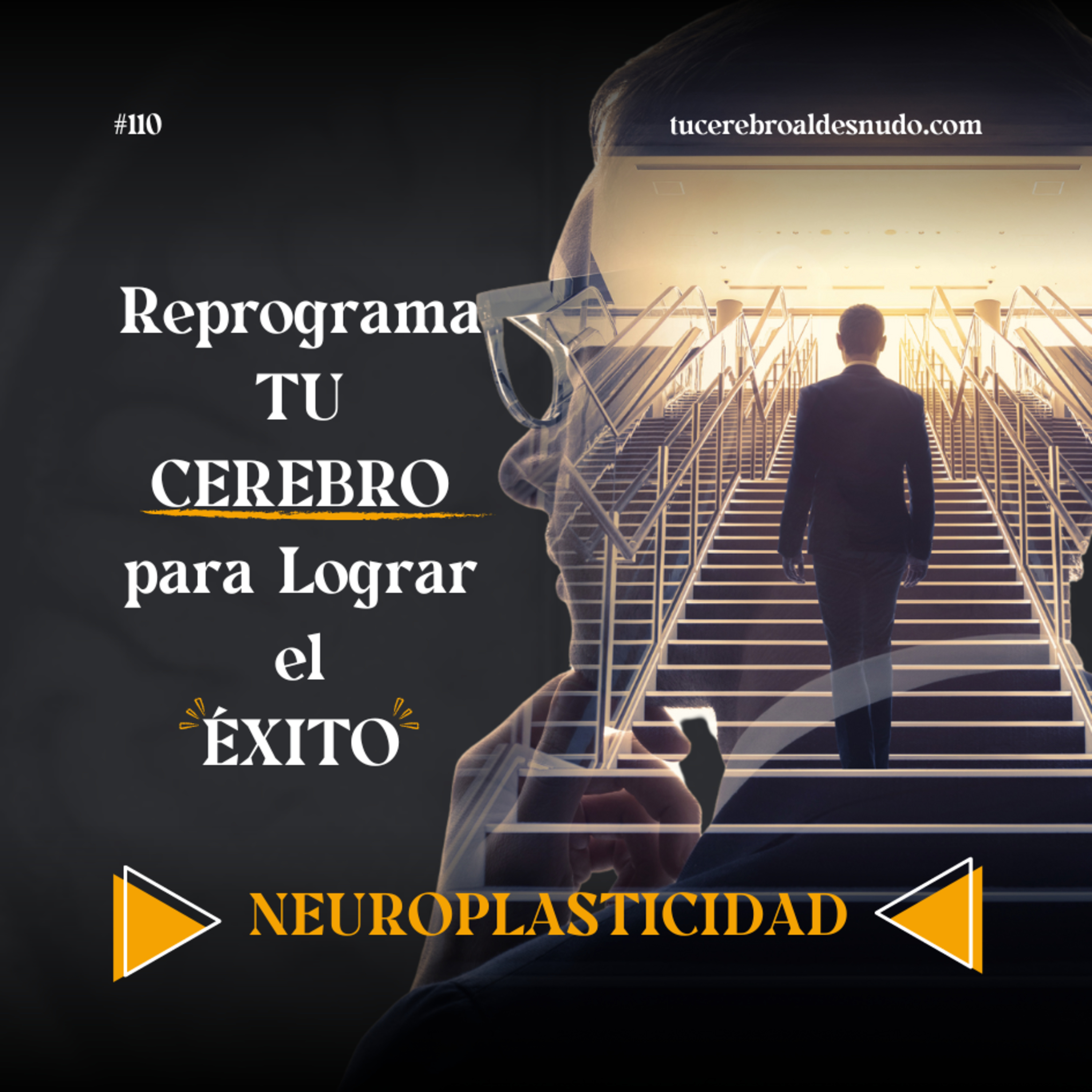 Cerebro Injodible®