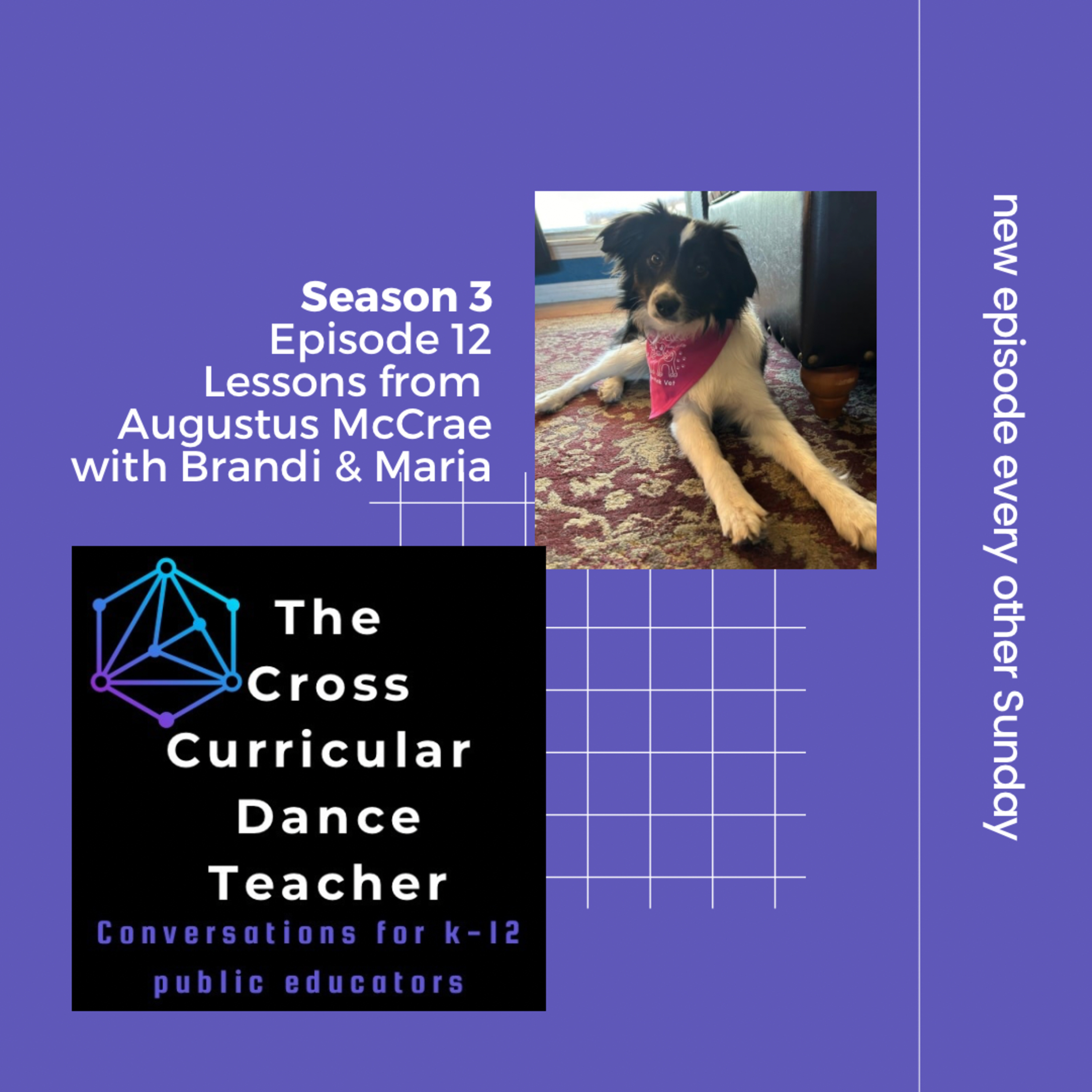 The Cross Curricular Dance Teacher Conversations for K-12 Public Educators