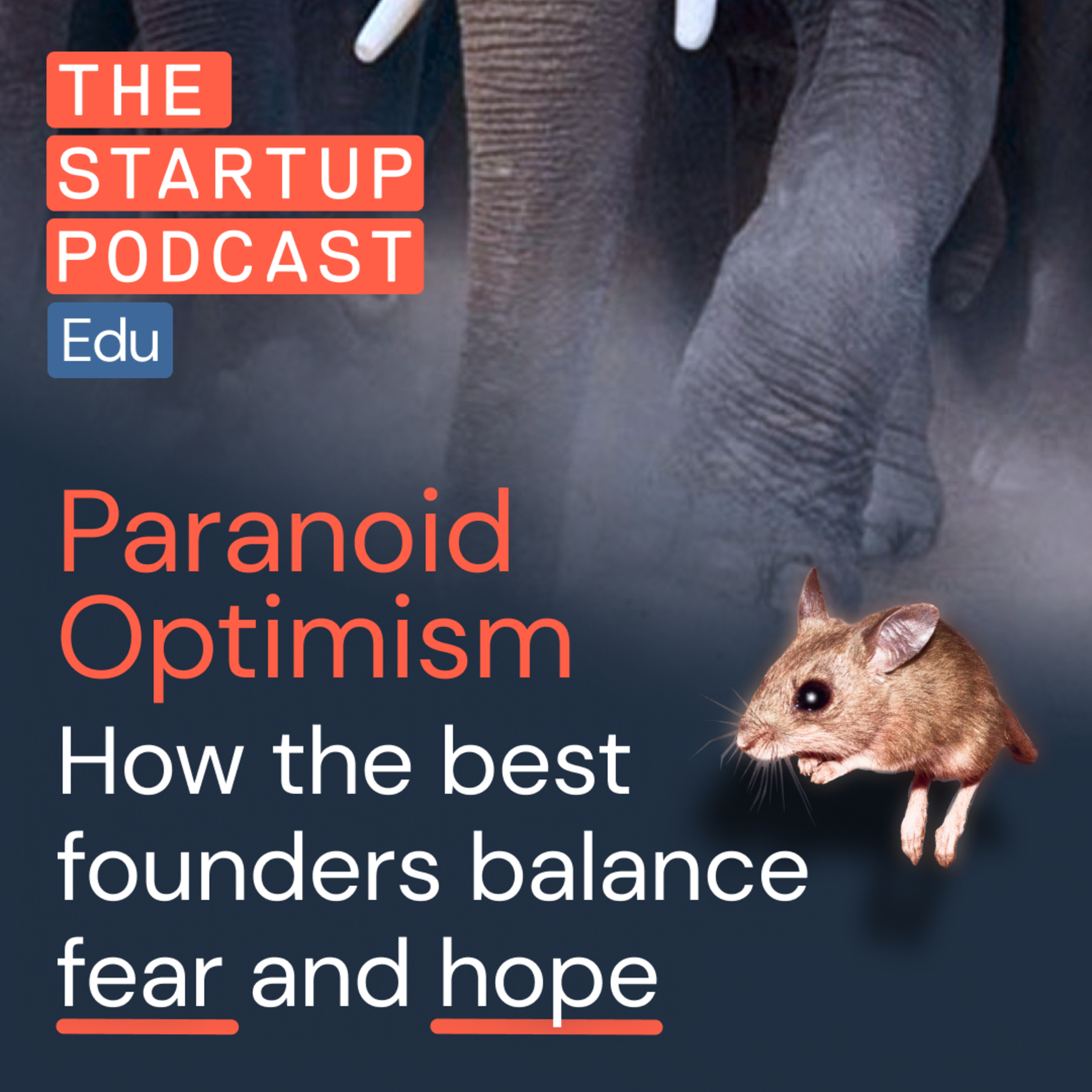 ‘Paranoid Optimism’ with Yaniv: How the best founders balance fear and hope