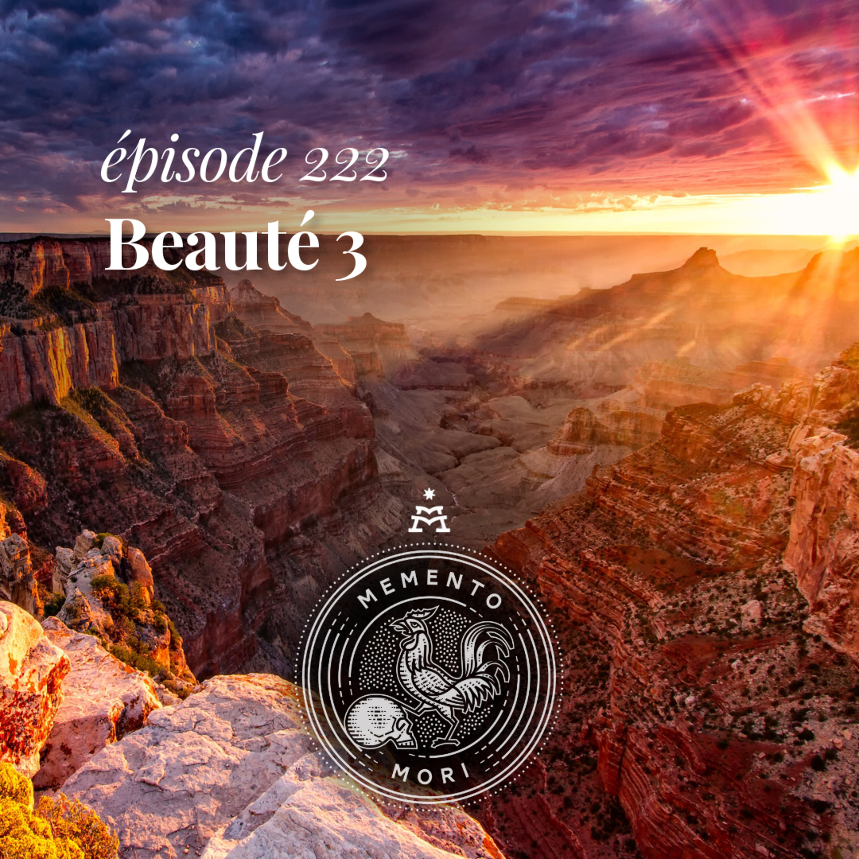 MM222: La beauté infinie de Jésus (série 3/3)