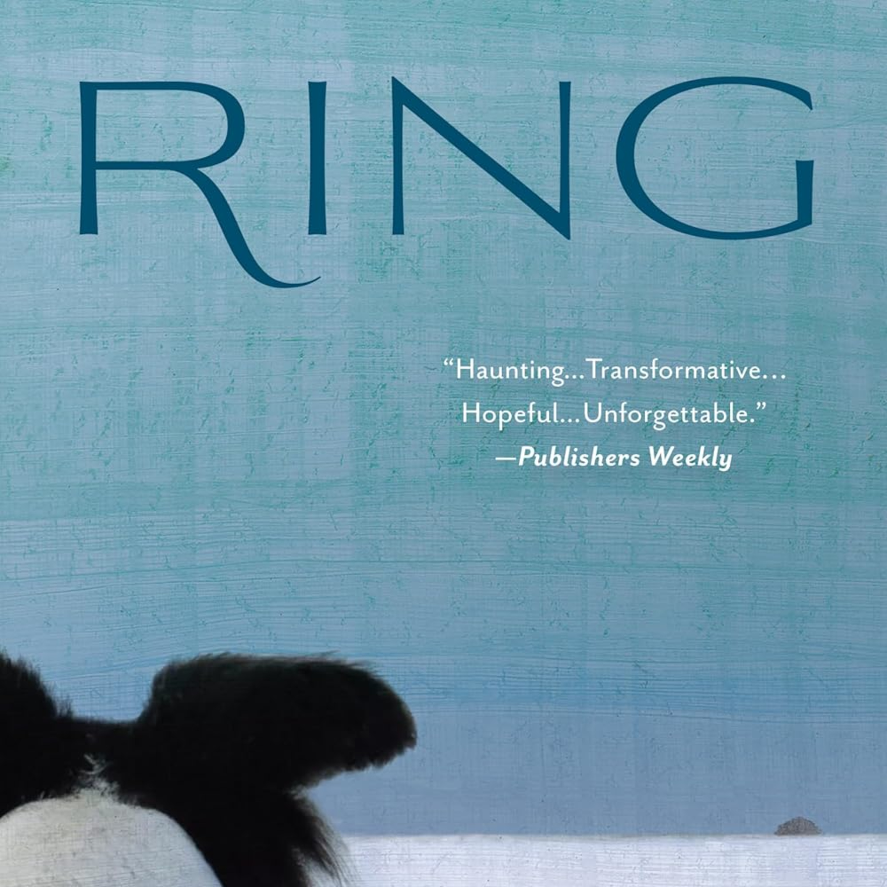 Episode 041 - (Grief / Healing / Compassion) RING... A Novel - Michelle Lerner - 12-10-25 episode artwork