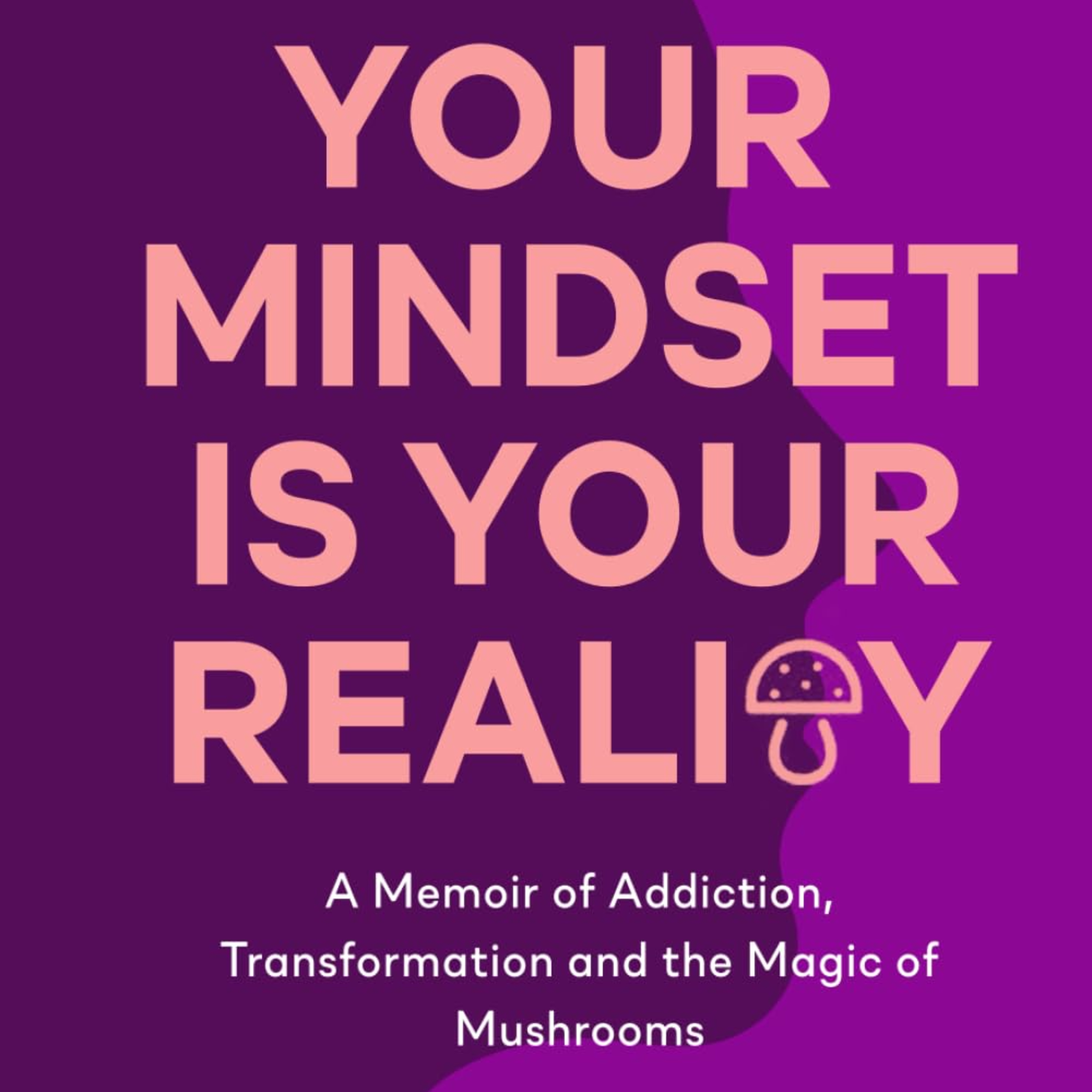 Episode 046 - (Psychedelics) Your Mindset is Your Reality - John Borden - 01-01-26 episode artwork