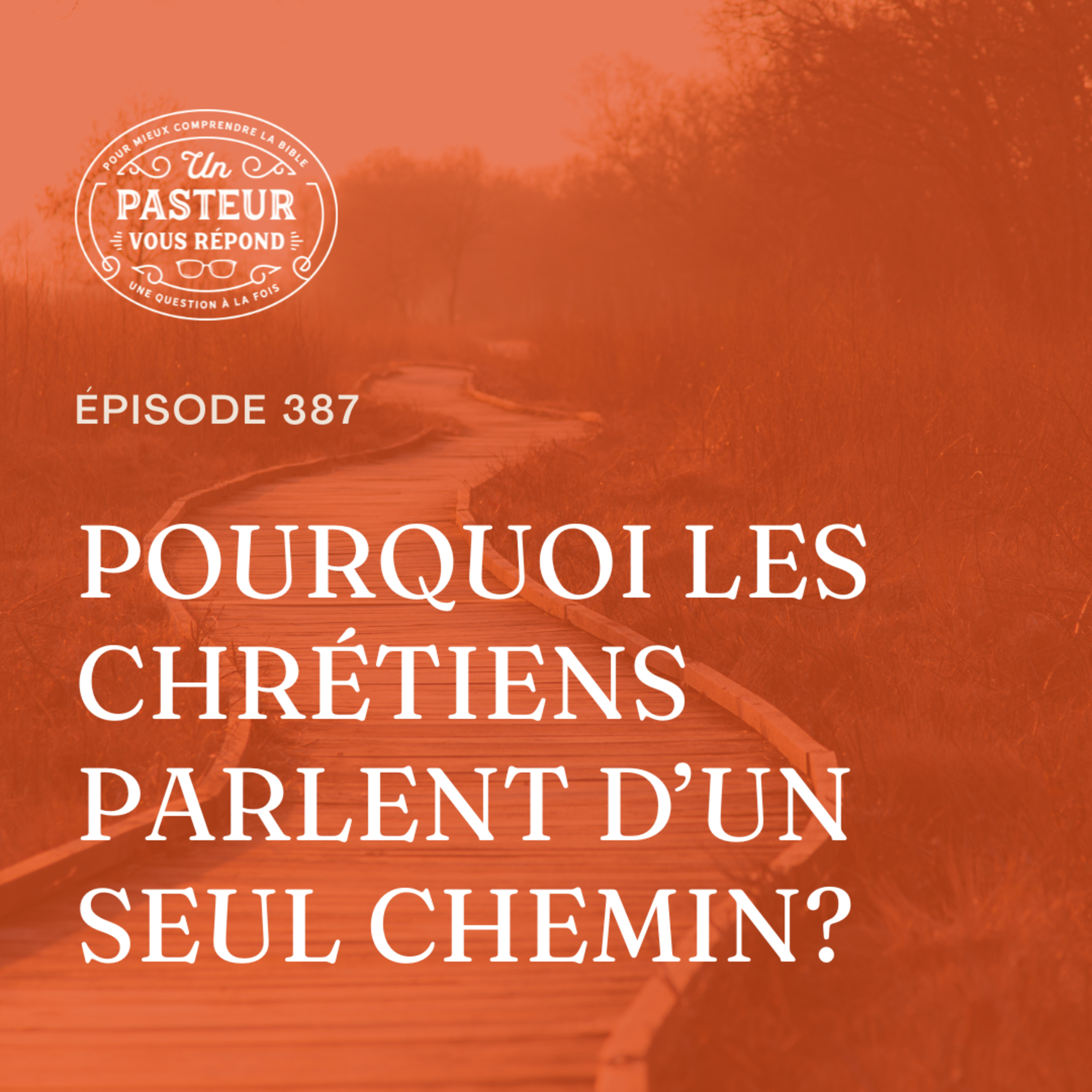 Pourquoi les chrétiens parlent-ils d’un seul chemin? (Épisode 387) episode artwork