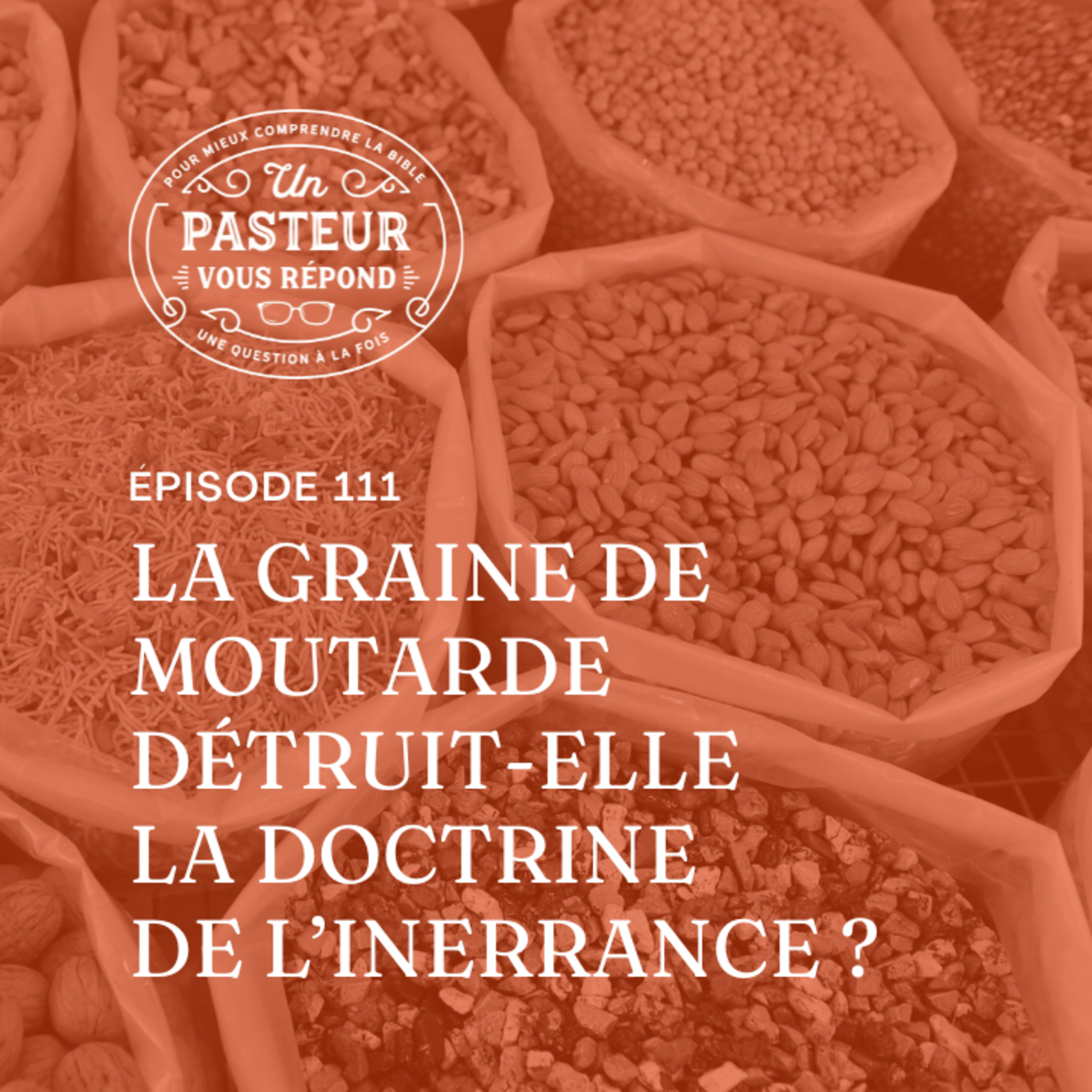 La graine de moutarde détruit-elle la doctrine de l’inerrance? (Épisode 111) episode artwork