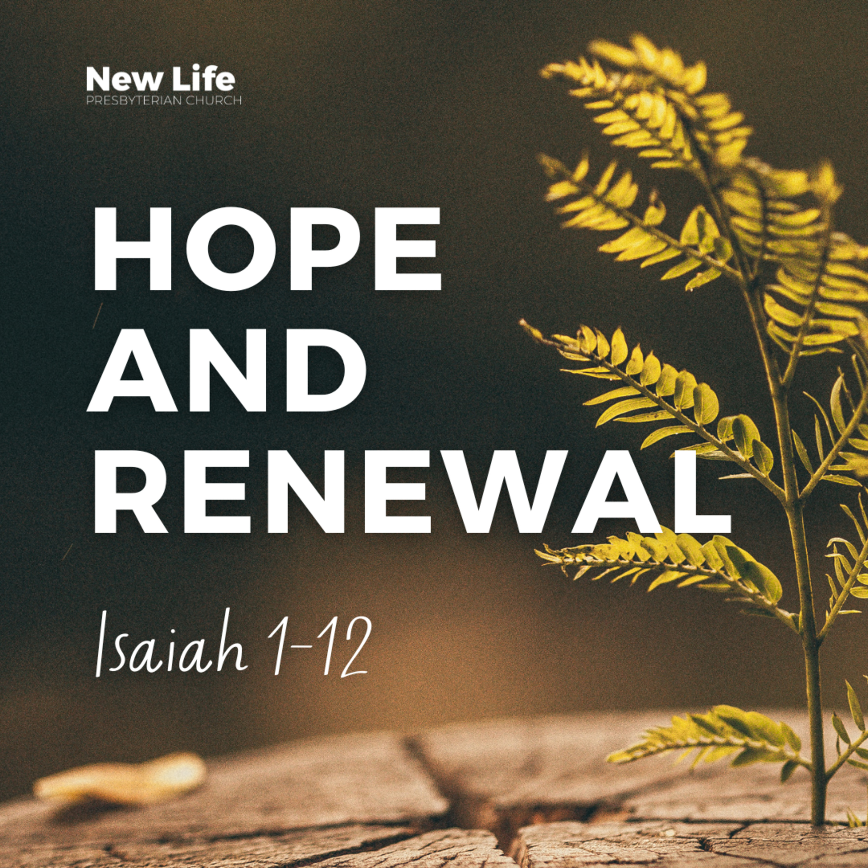 Hope and Renewal | 8 December 2024 | Isaiah 5:1-6:13 episode artwork