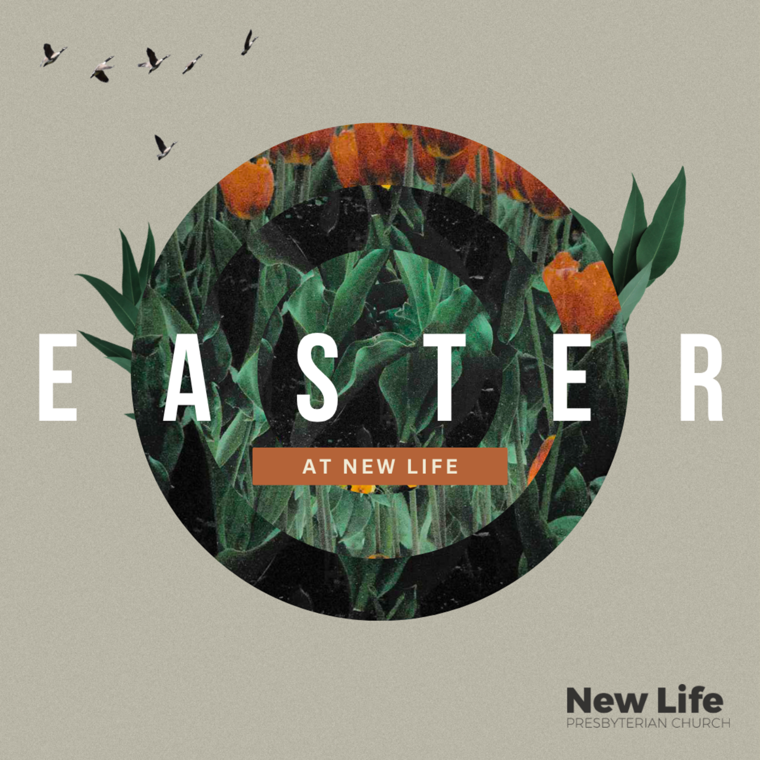 Easter Sunday Service 5 April 2026 | Psalm 16  episode artwork