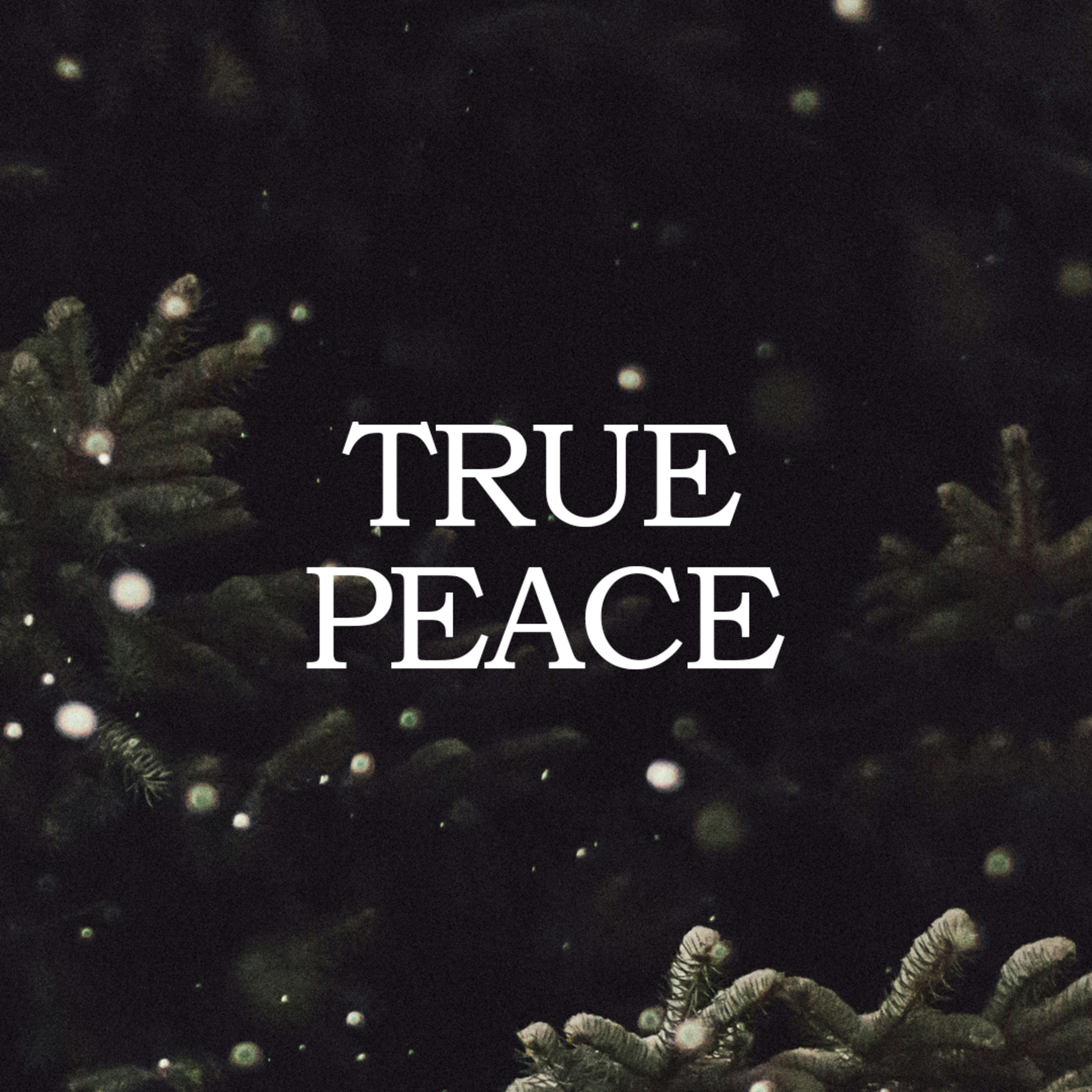 True Peace episode artwork