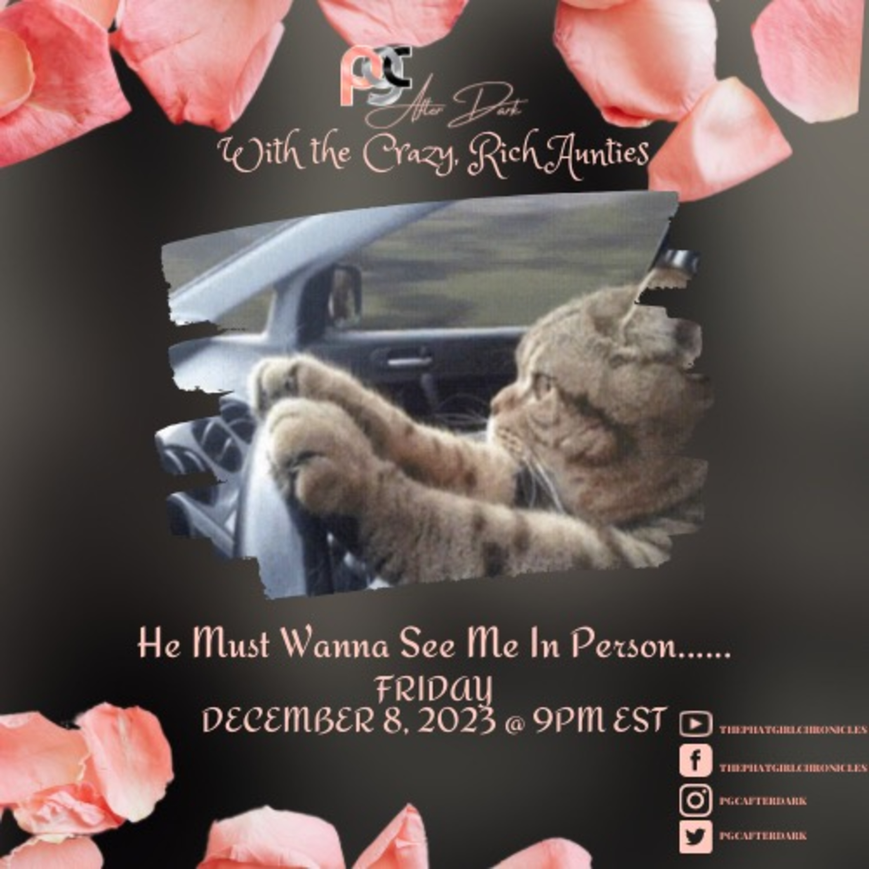 The Phat Girl Chronicles Podcast